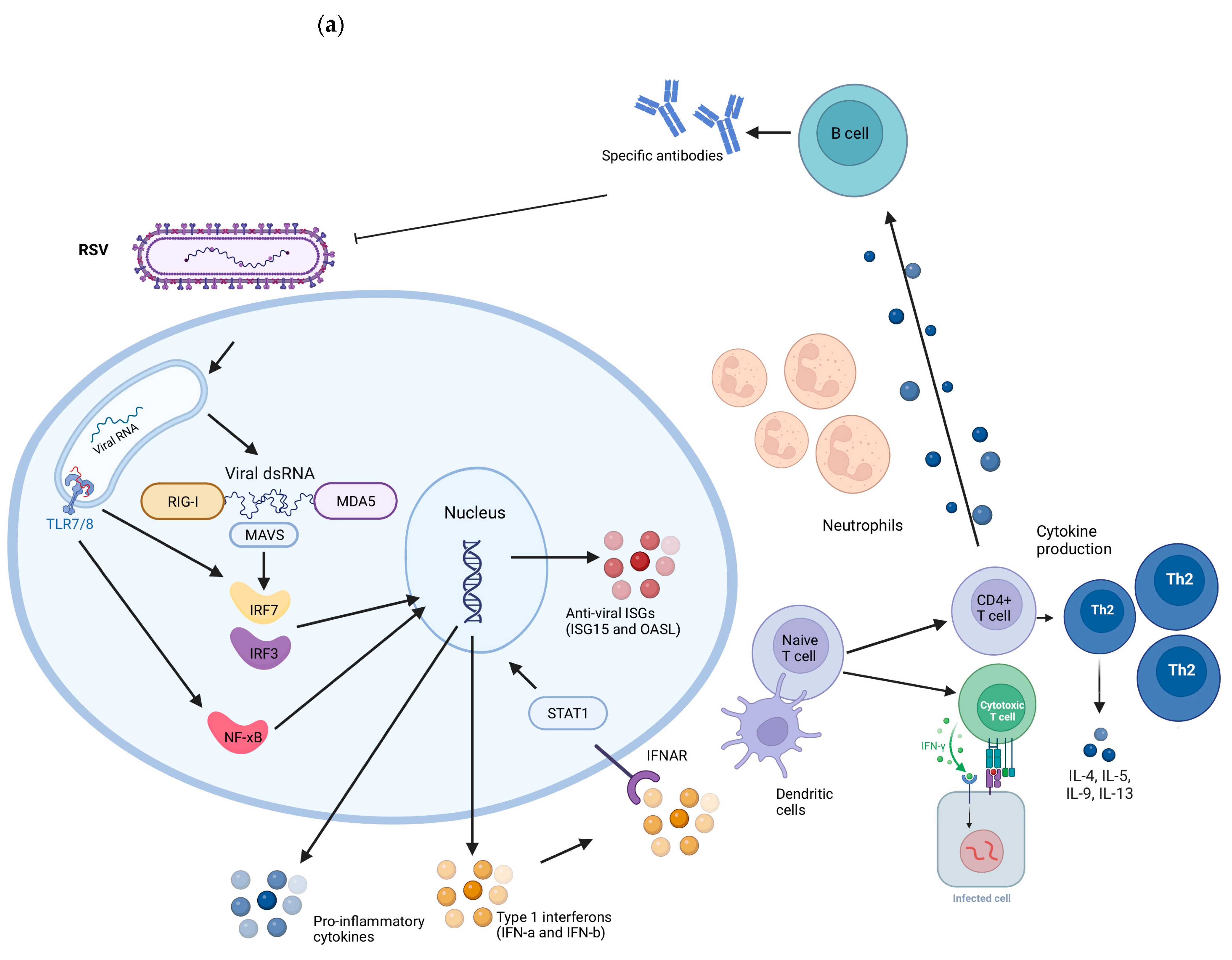 Biology 12 01223 g002a Biology 12 01223 g002a