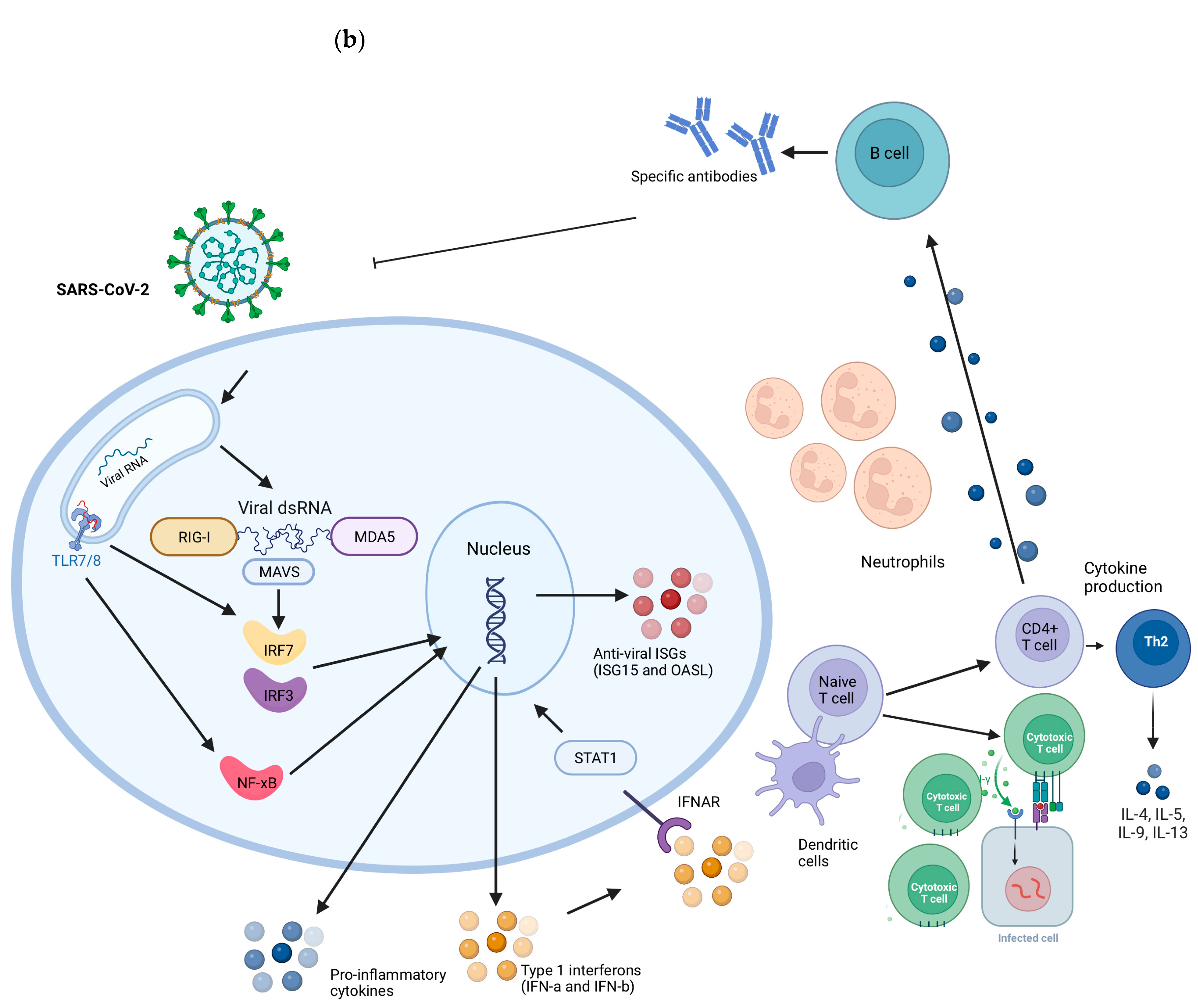 Biology 12 01223 g002b Biology 12 01223 g002b
