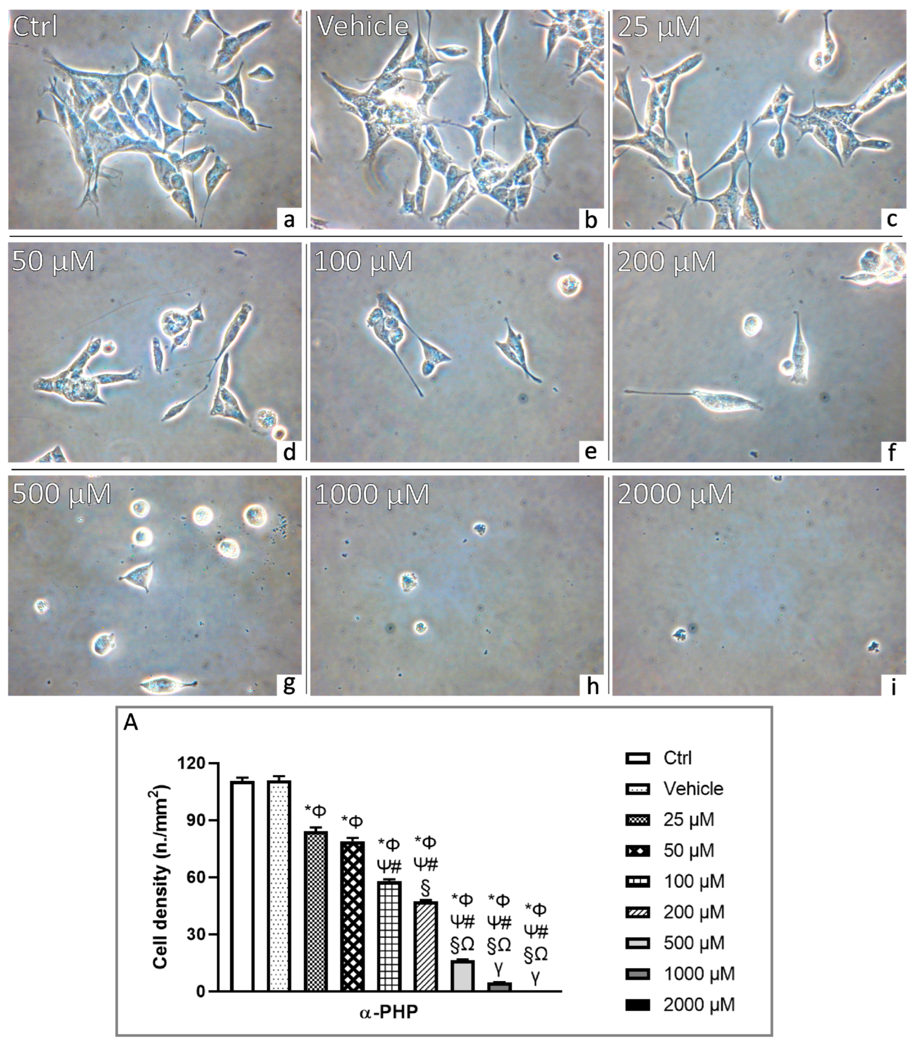 Biology 12 01225 g002