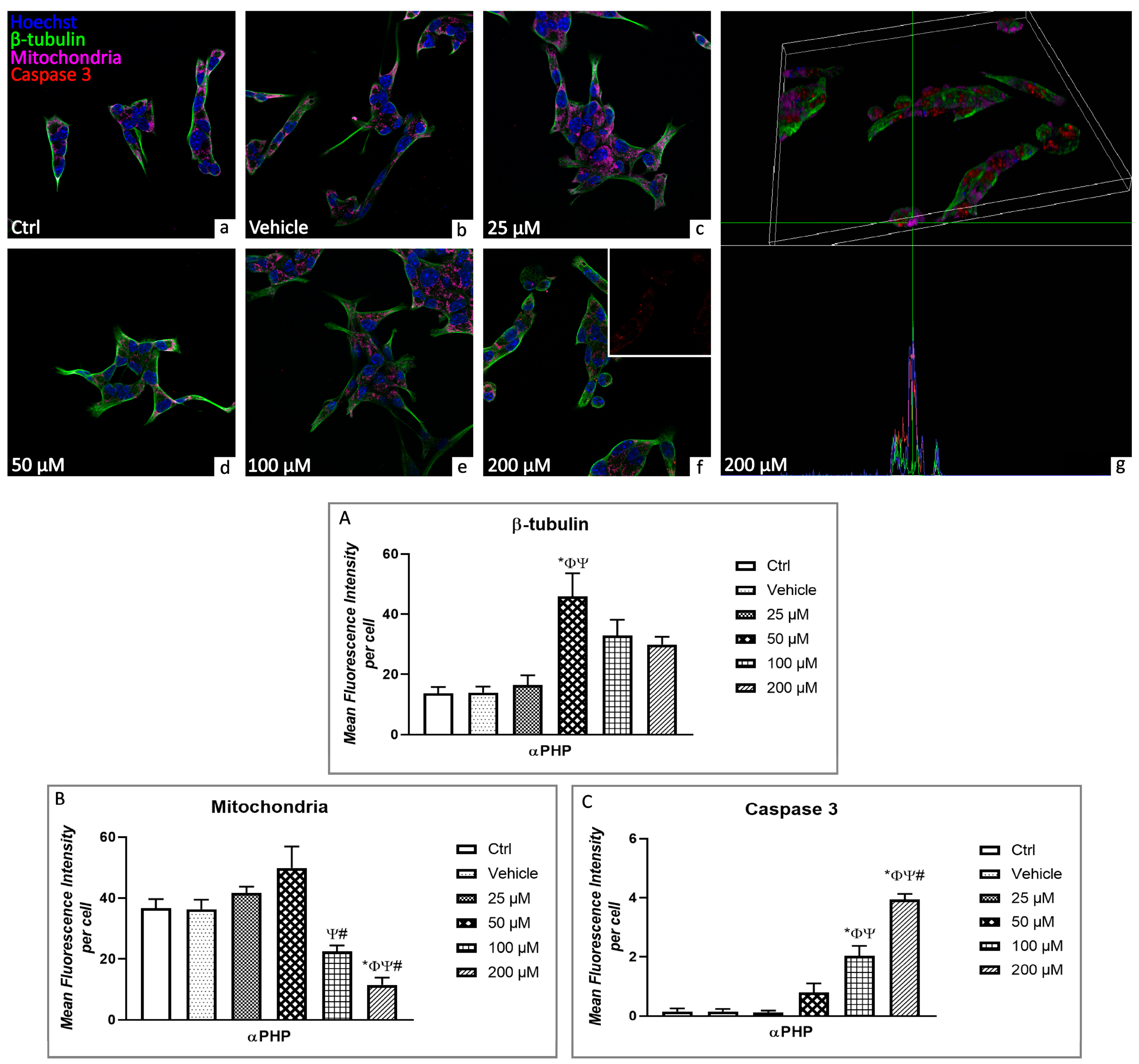Biology 12 01225 g005