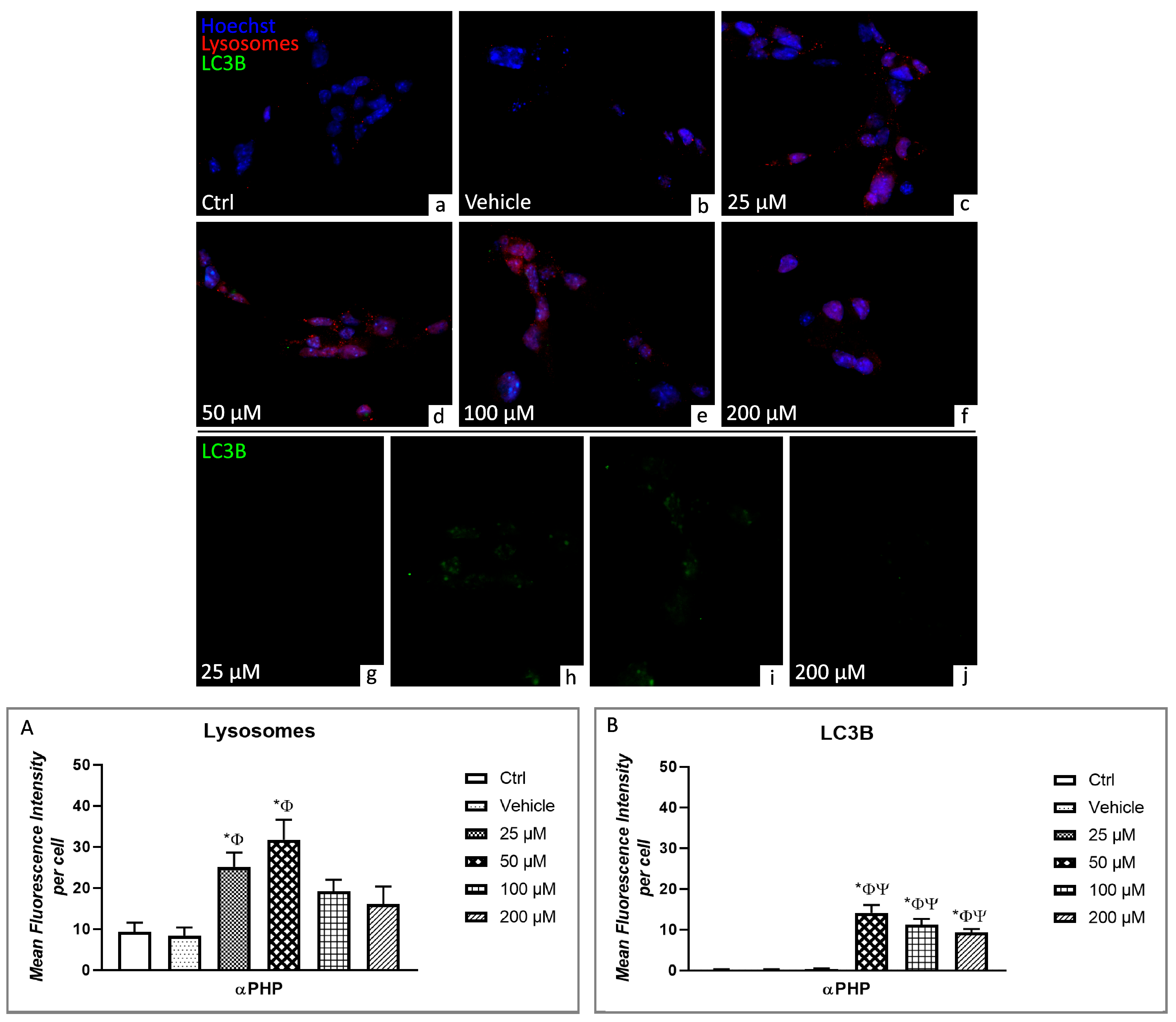 Biology 12 01225 g006