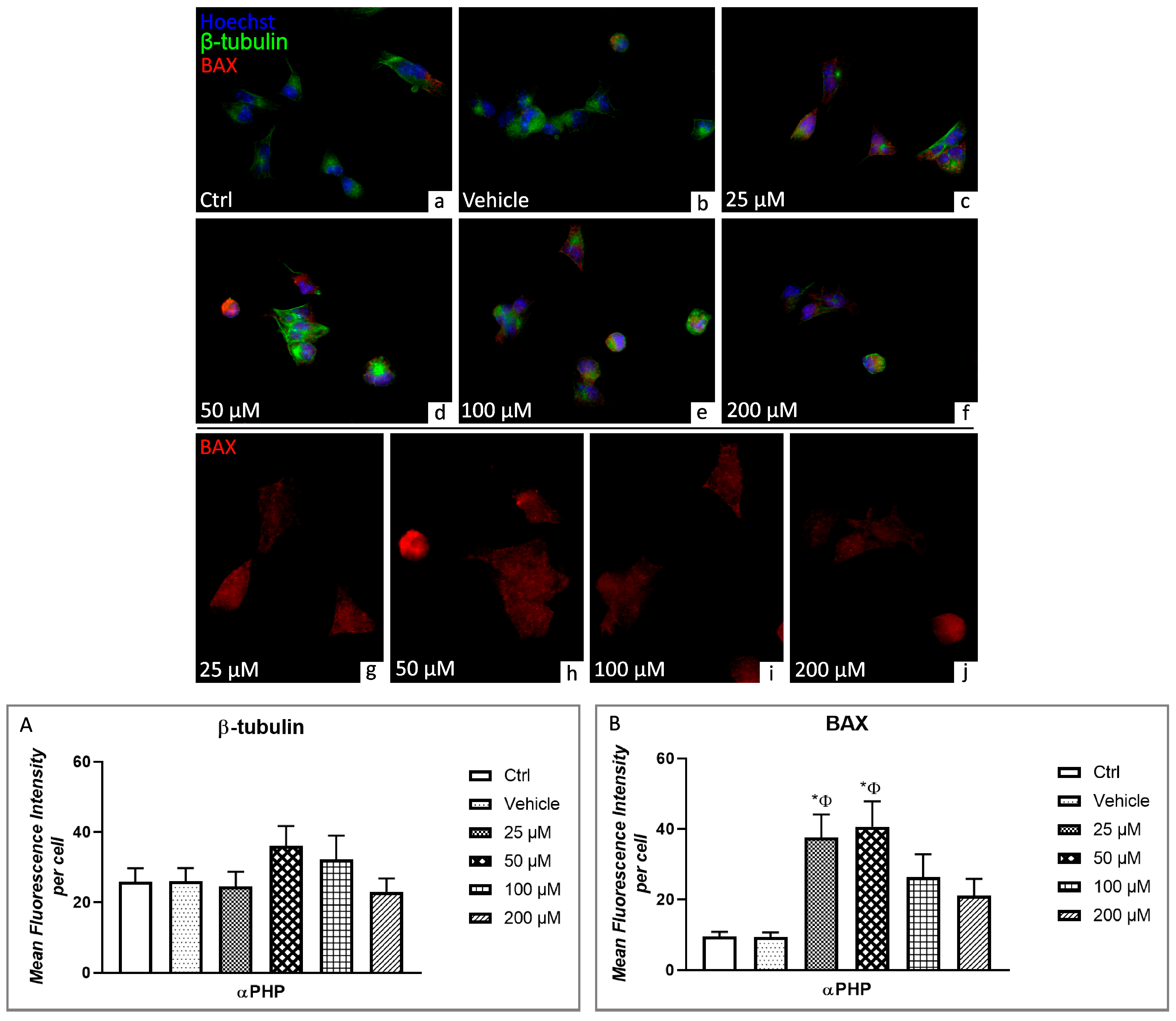 Biology 12 01225 g009
