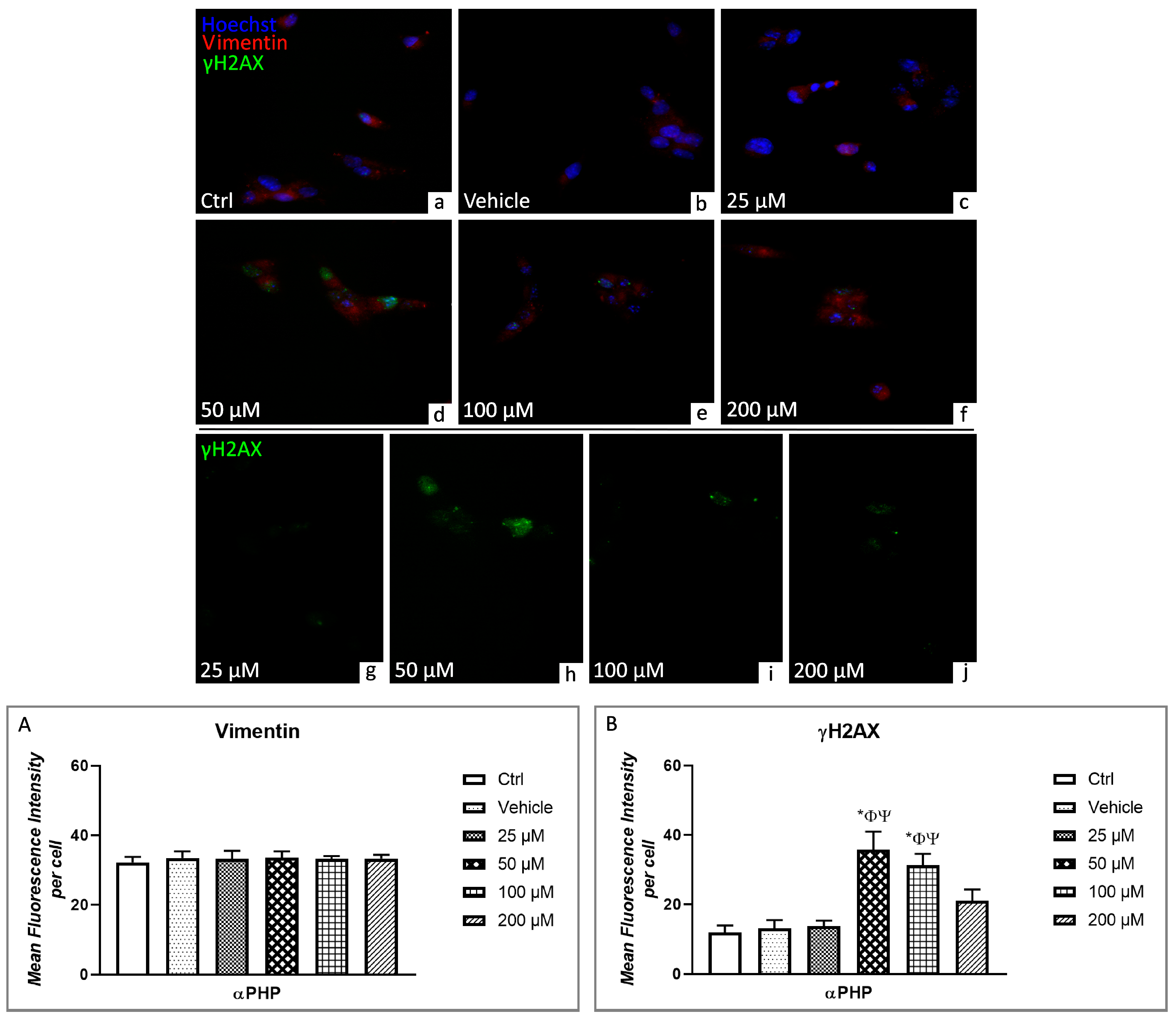 Biology 12 01225 g010