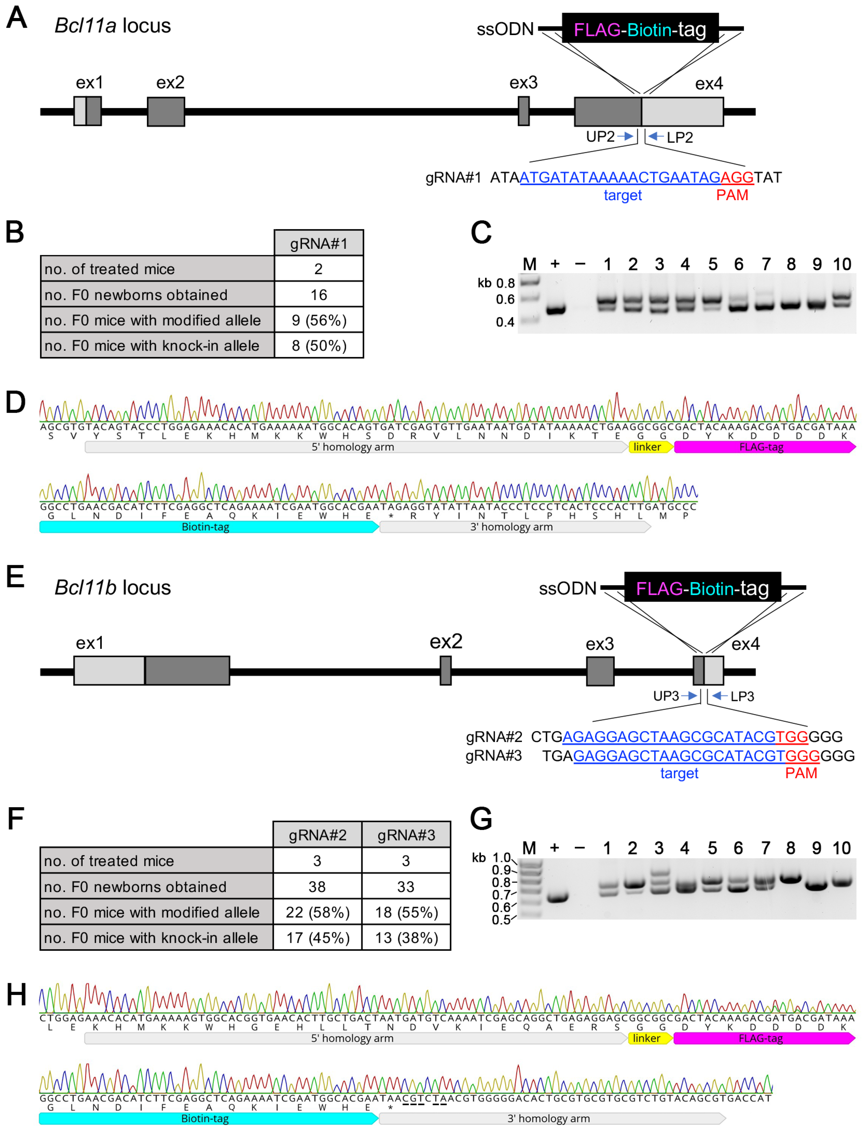Biology 12 01236 g004