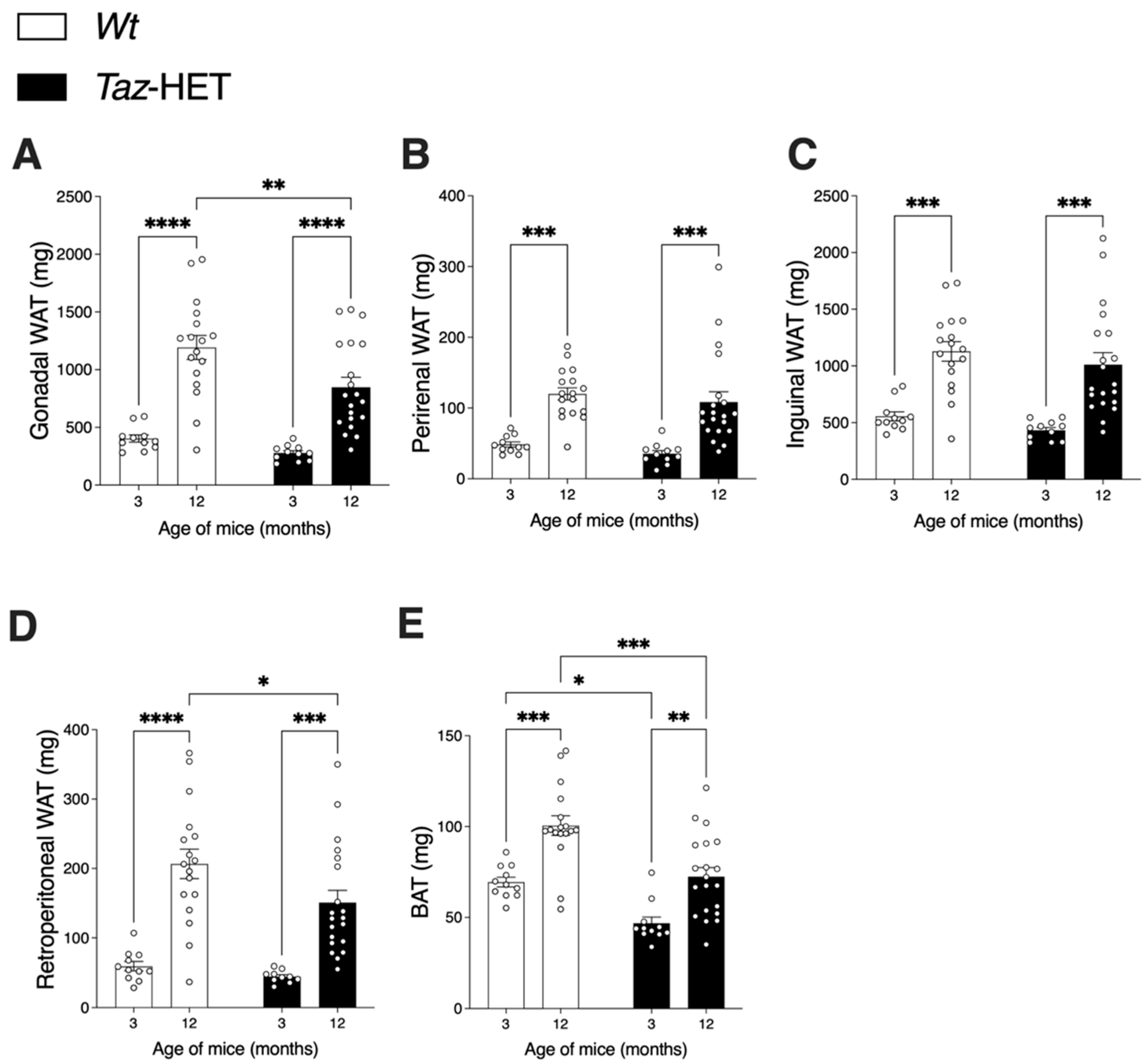 Biology 12 01238 g002