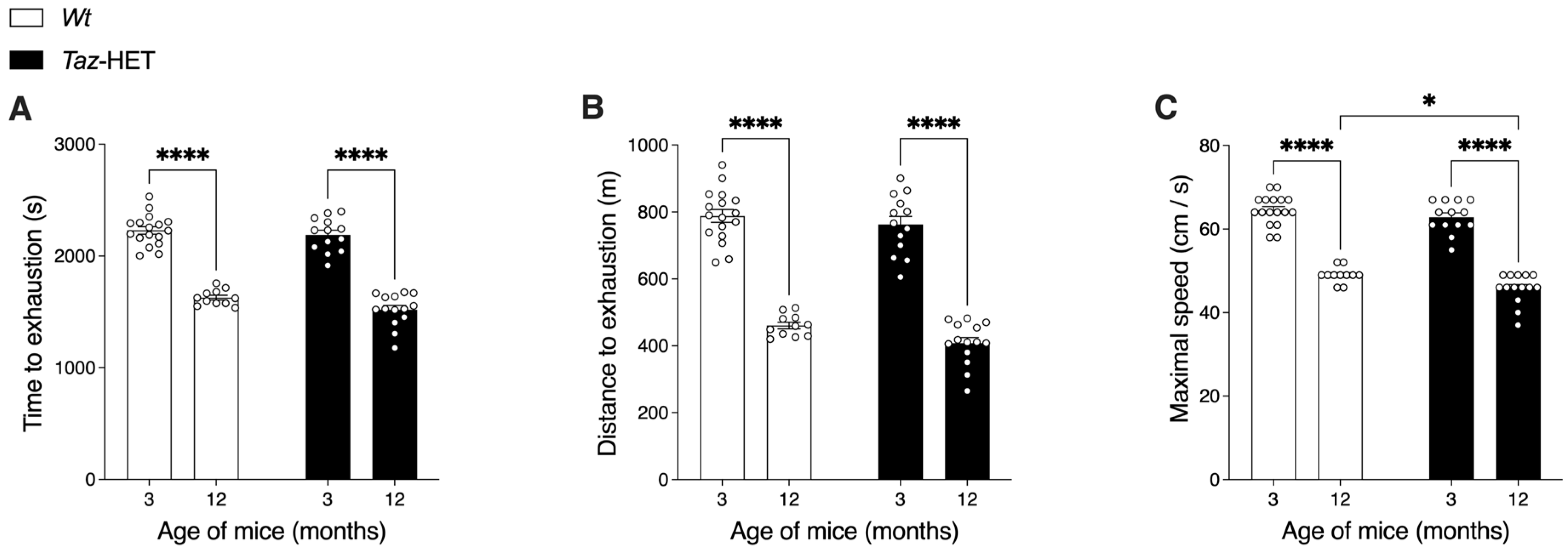 Biology 12 01238 g008