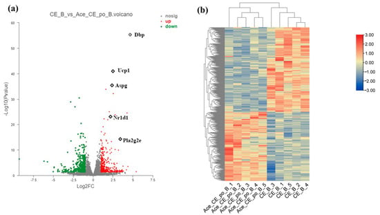 Full article: Comparative transcriptomic analysis of rabbit interscapular  brown adipose tissue whitening under physiological conditions