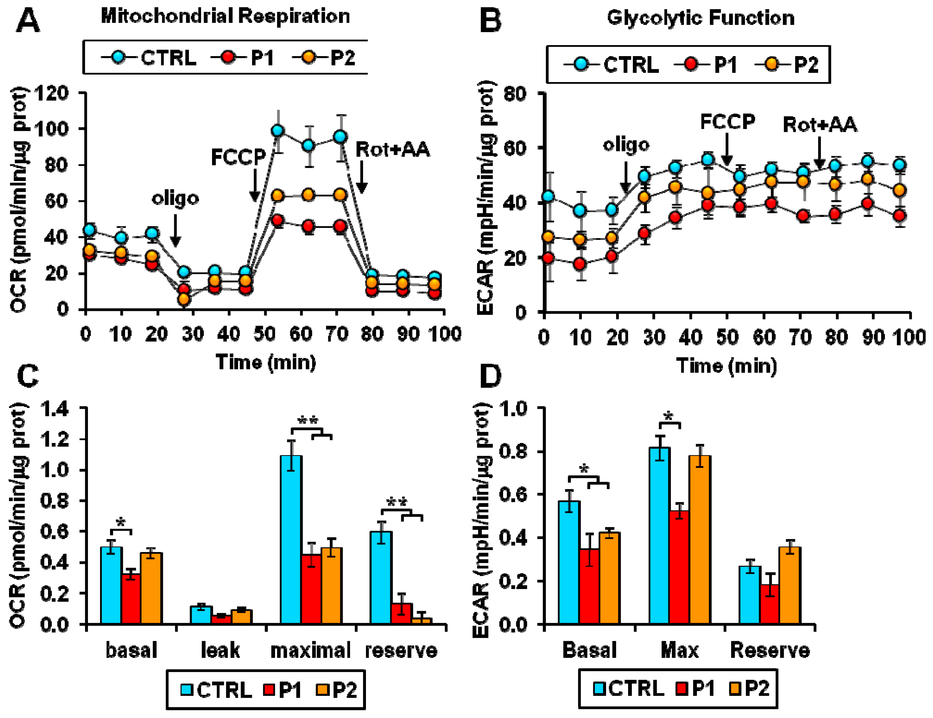 Biology 12 01294 g004 Biology 12 01294 g004