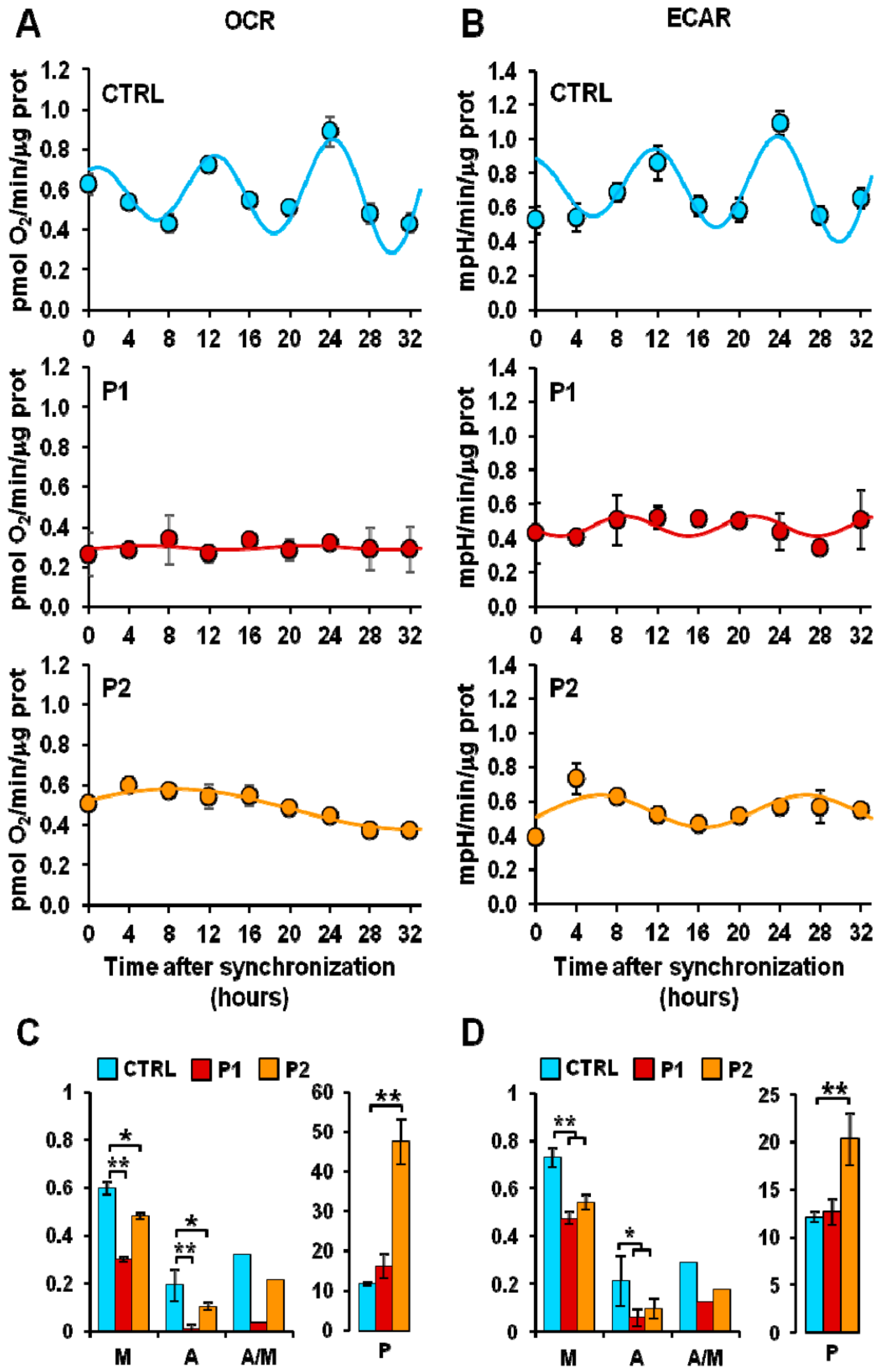 Biology 12 01294 g005 Biology 12 01294 g005