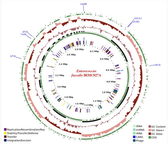 Biology Free Full Text Genomic Landscape of Multidrug