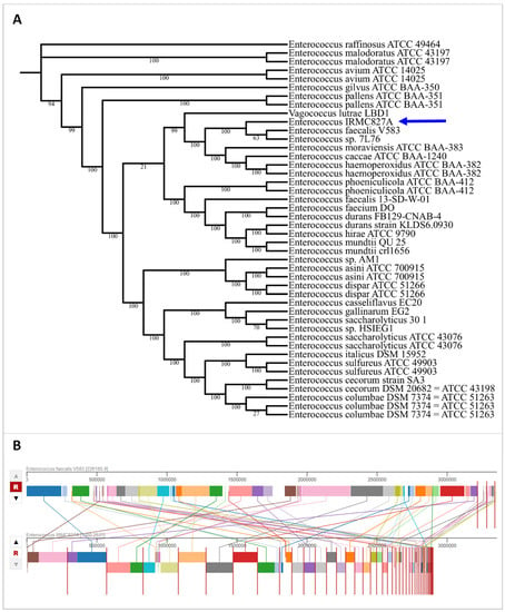 Biology Free Full Text Genomic Landscape of Multidrug