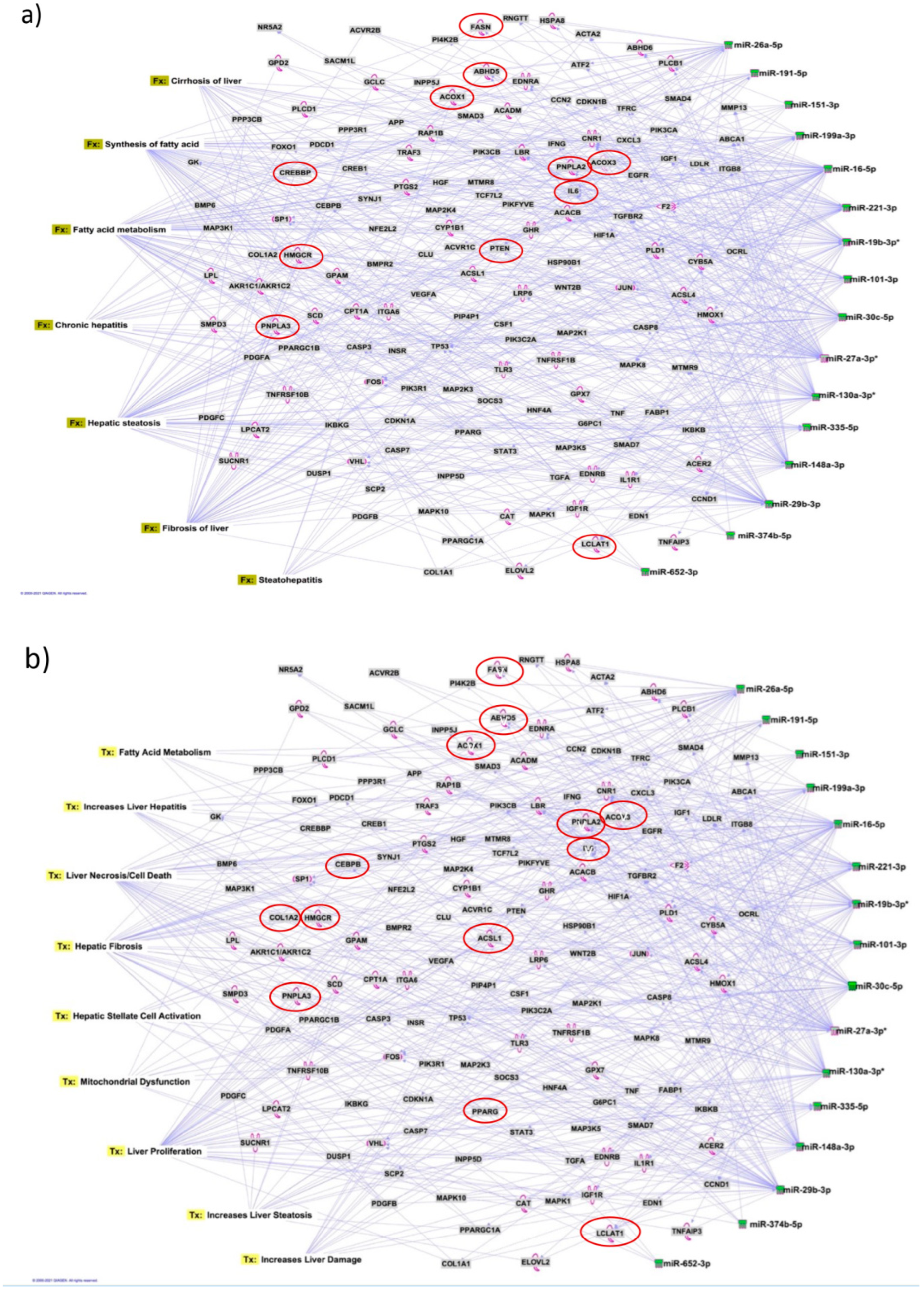 Biology 12 01314 g006