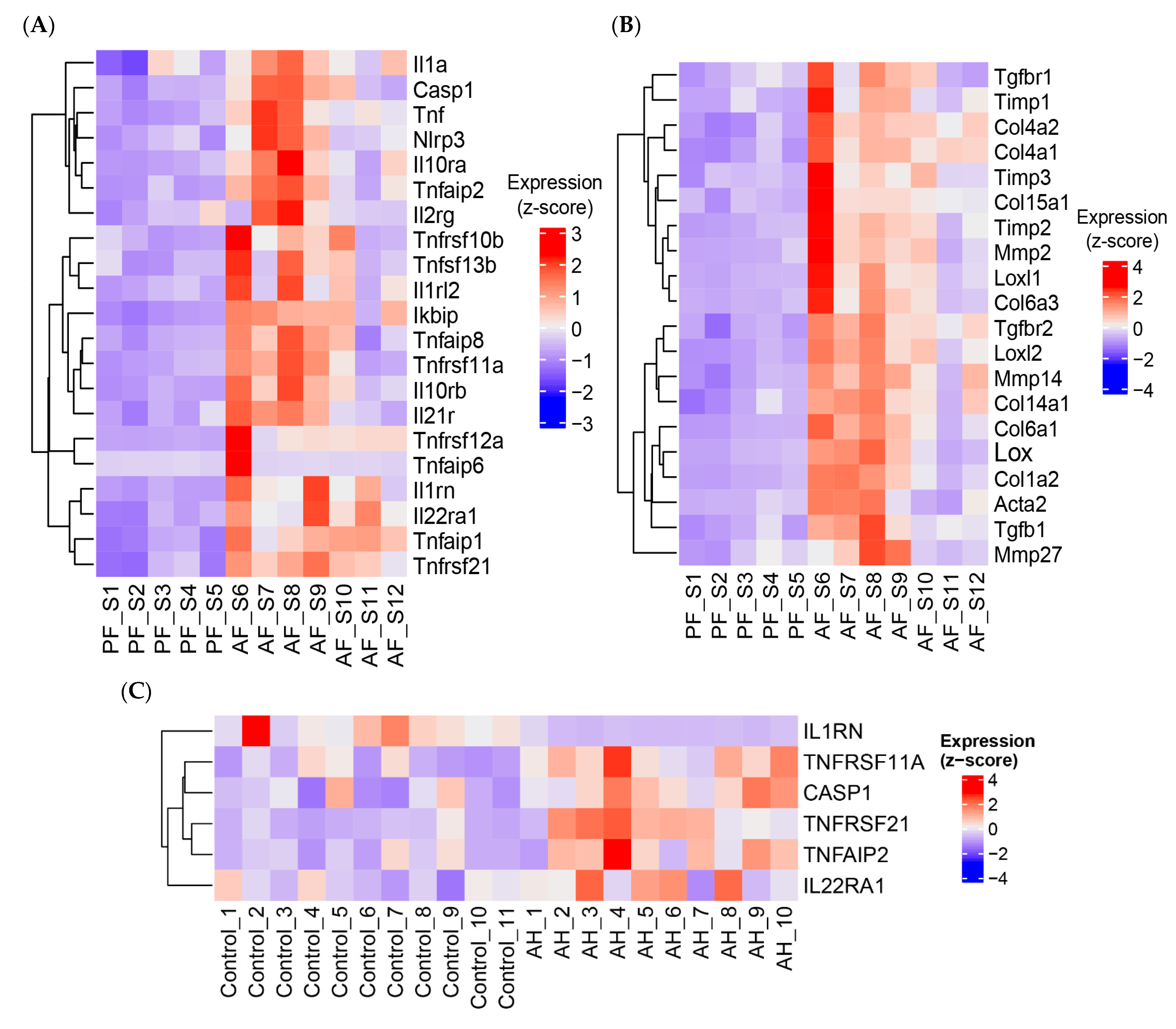 Biology 12 01321 g002a Biology 12 01321 g002a