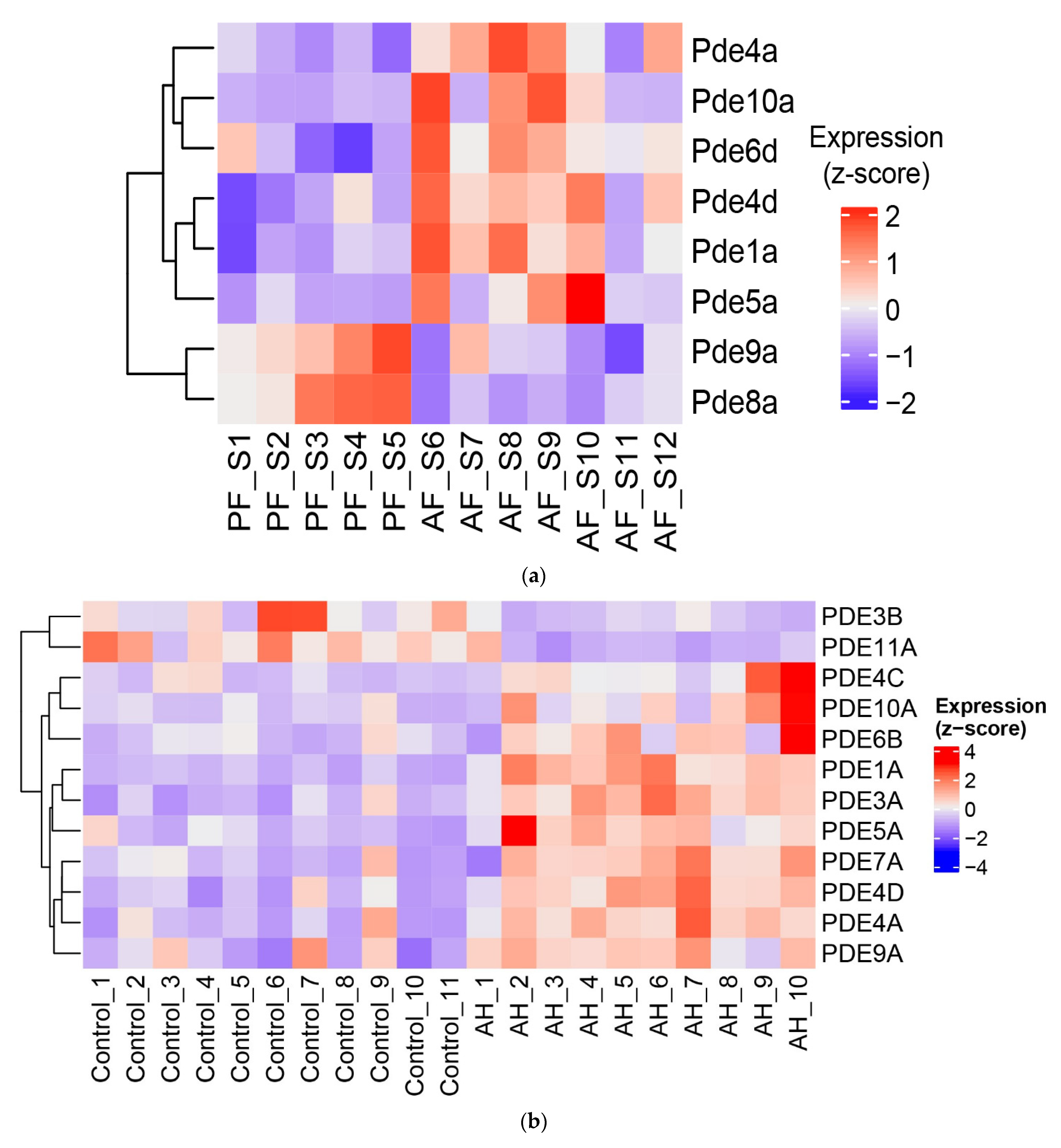 Biology 12 01321 g005a Biology 12 01321 g005a