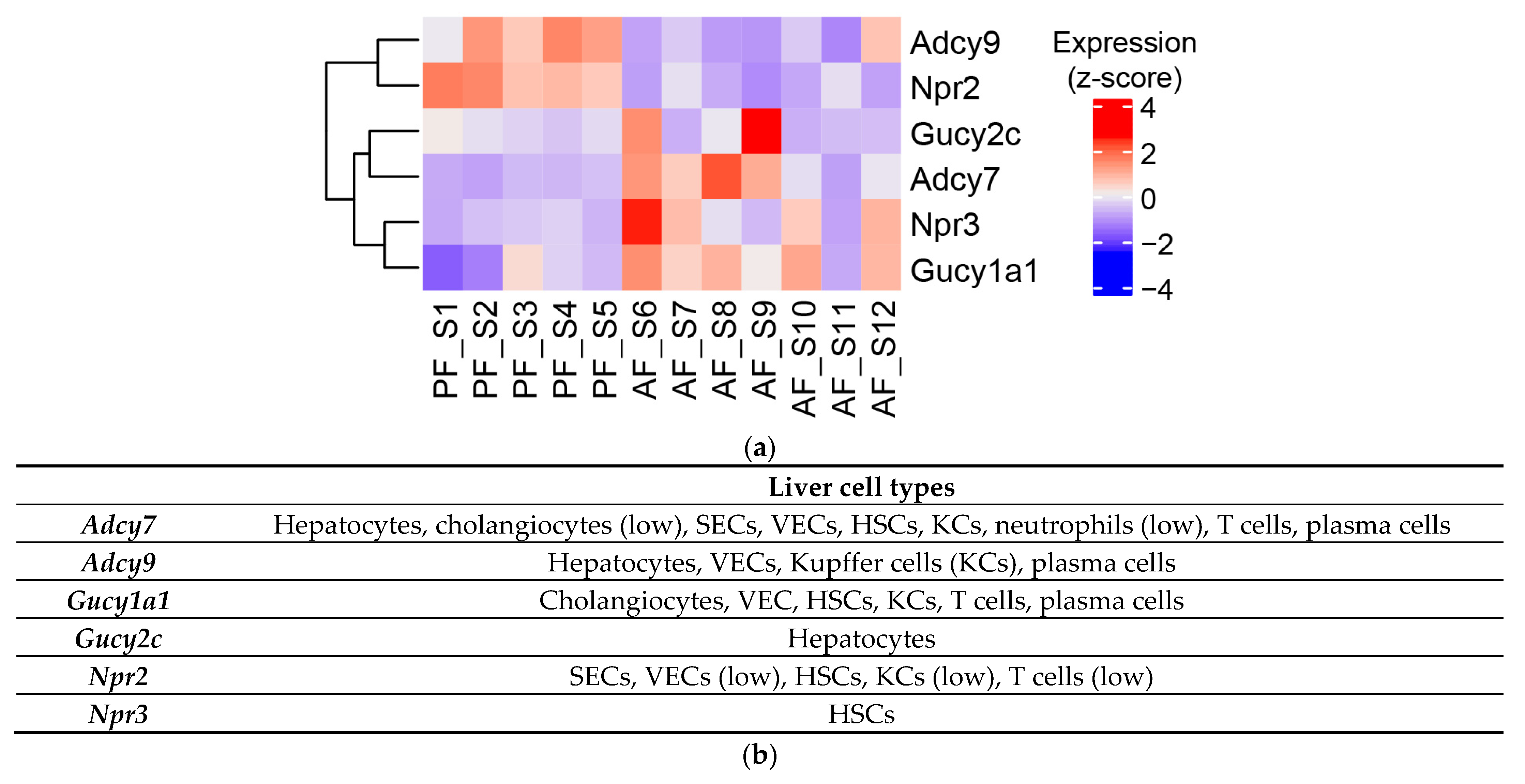 Biology 12 01321 g006 Biology 12 01321 g006