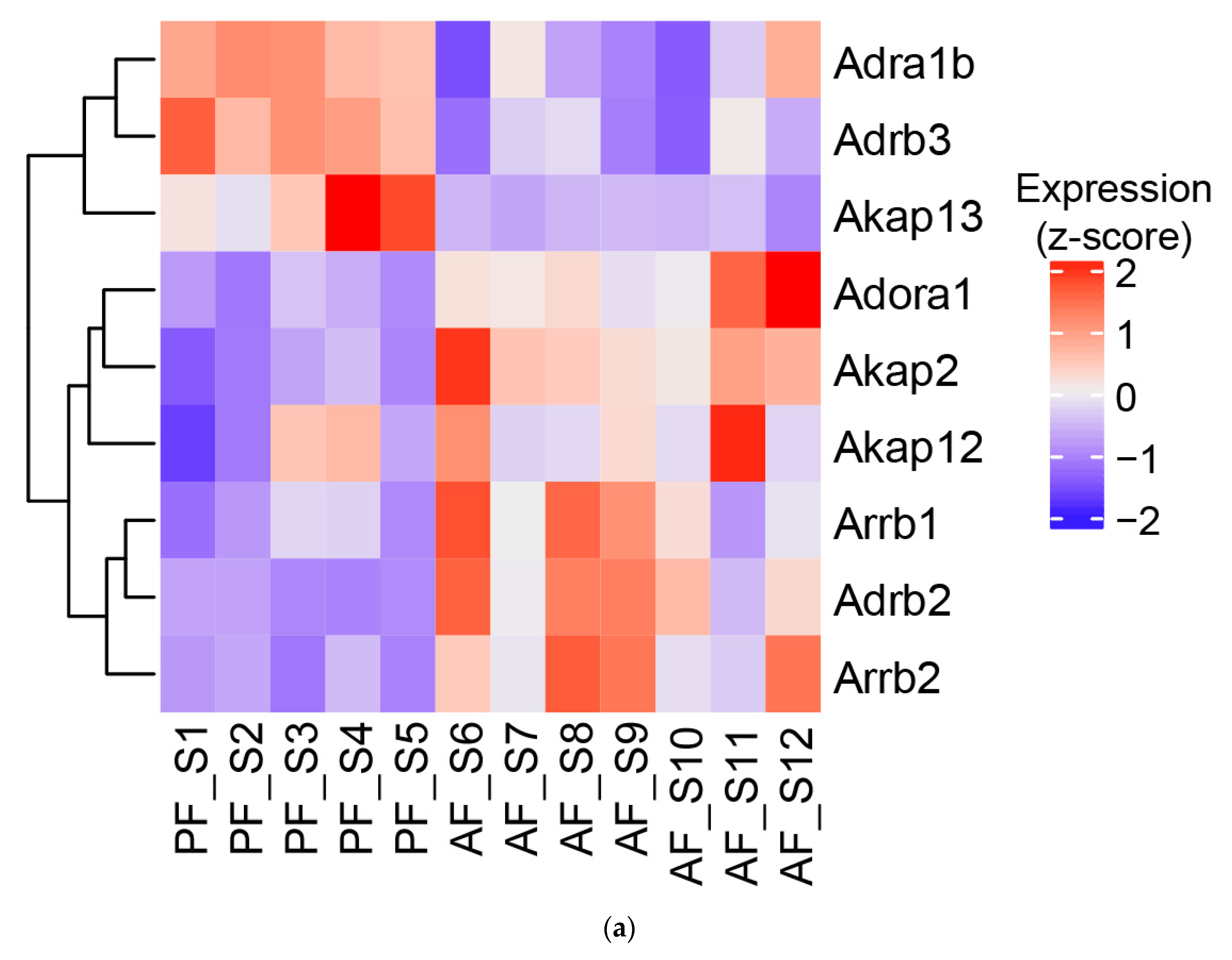 Biology 12 01321 g007a Biology 12 01321 g007a