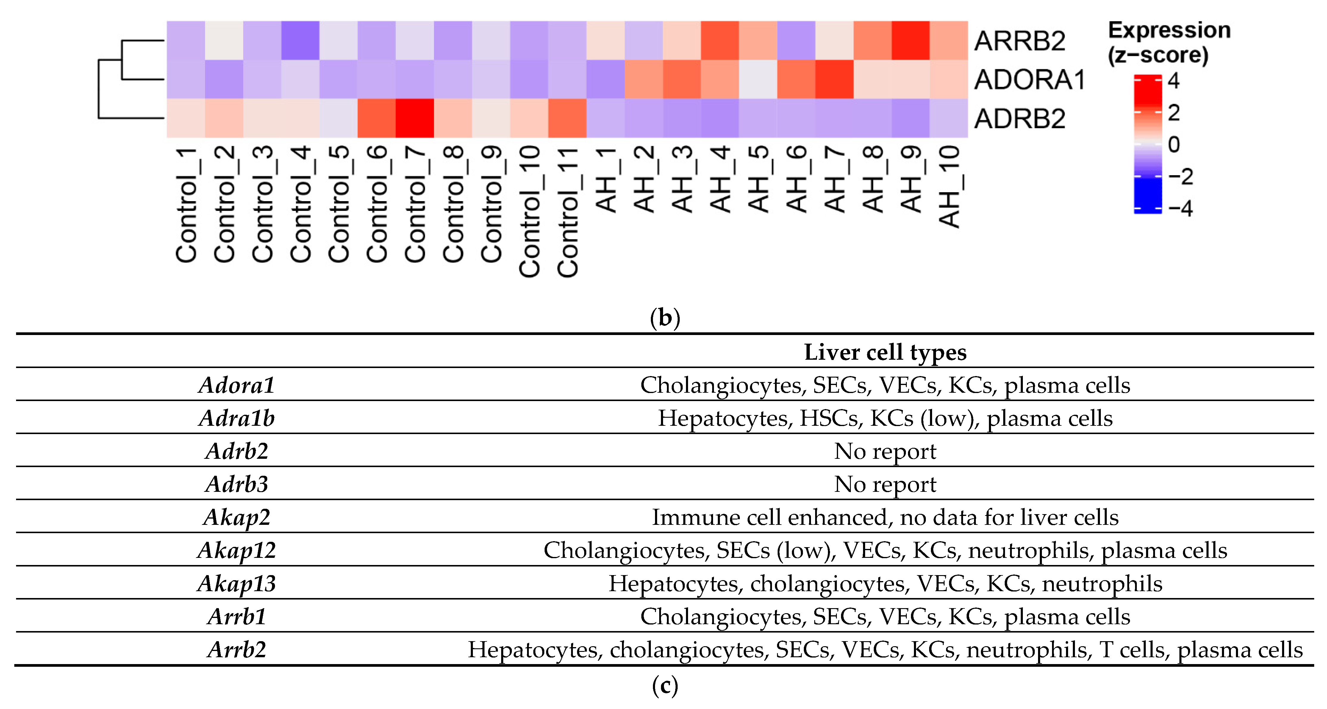 Biology 12 01321 g007b Biology 12 01321 g007b