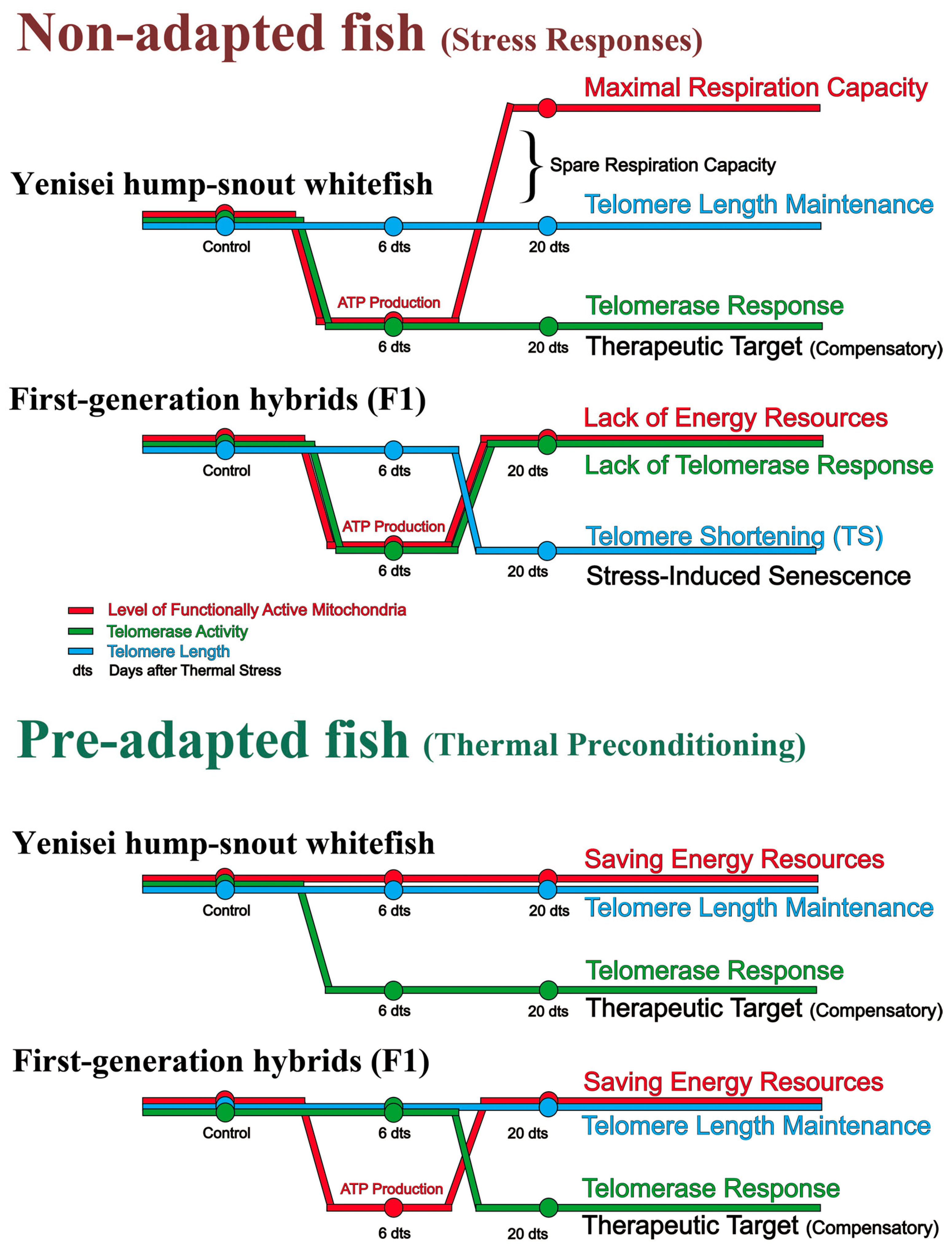Biology 12 01348 g007