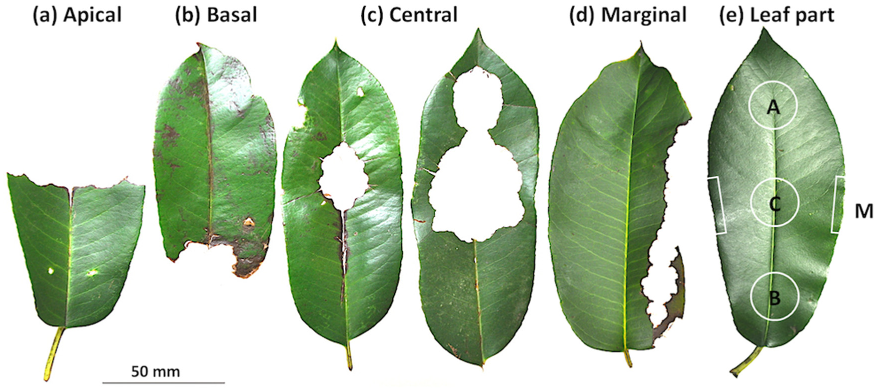 Biology 12 01352 g001