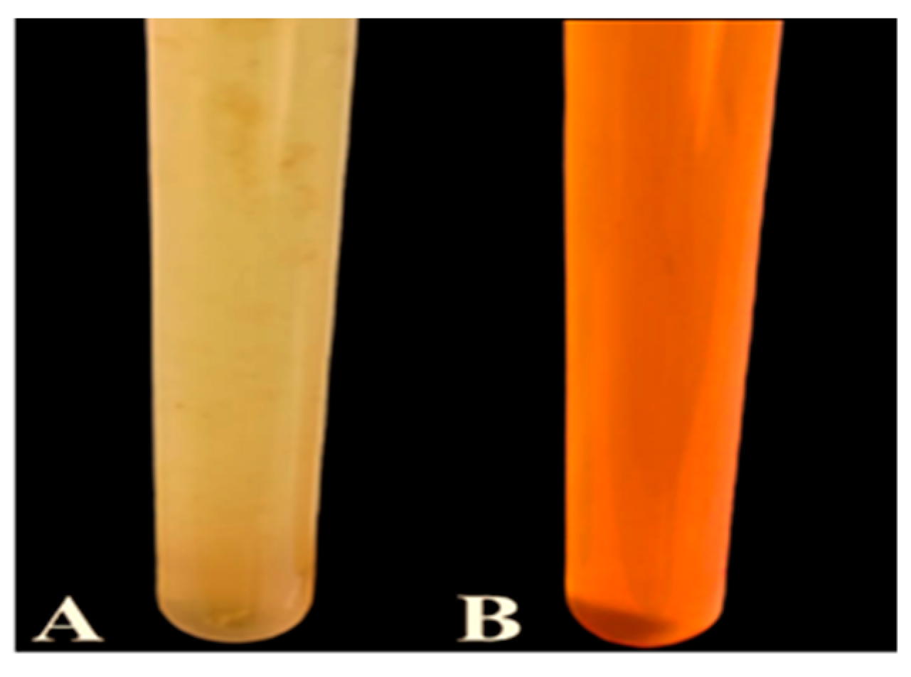 Biology 12 01361 g001