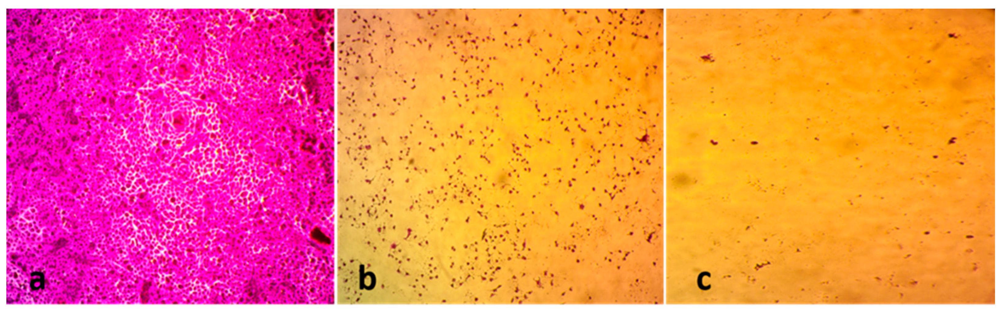 Biology 12 01361 g008