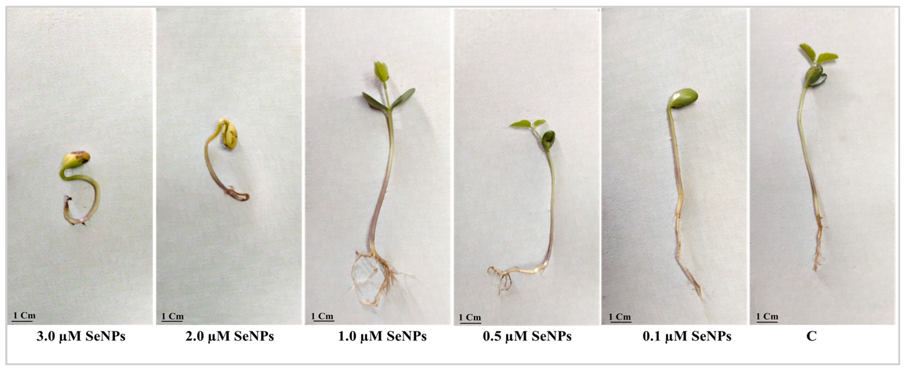 Biology 12 01361 g012