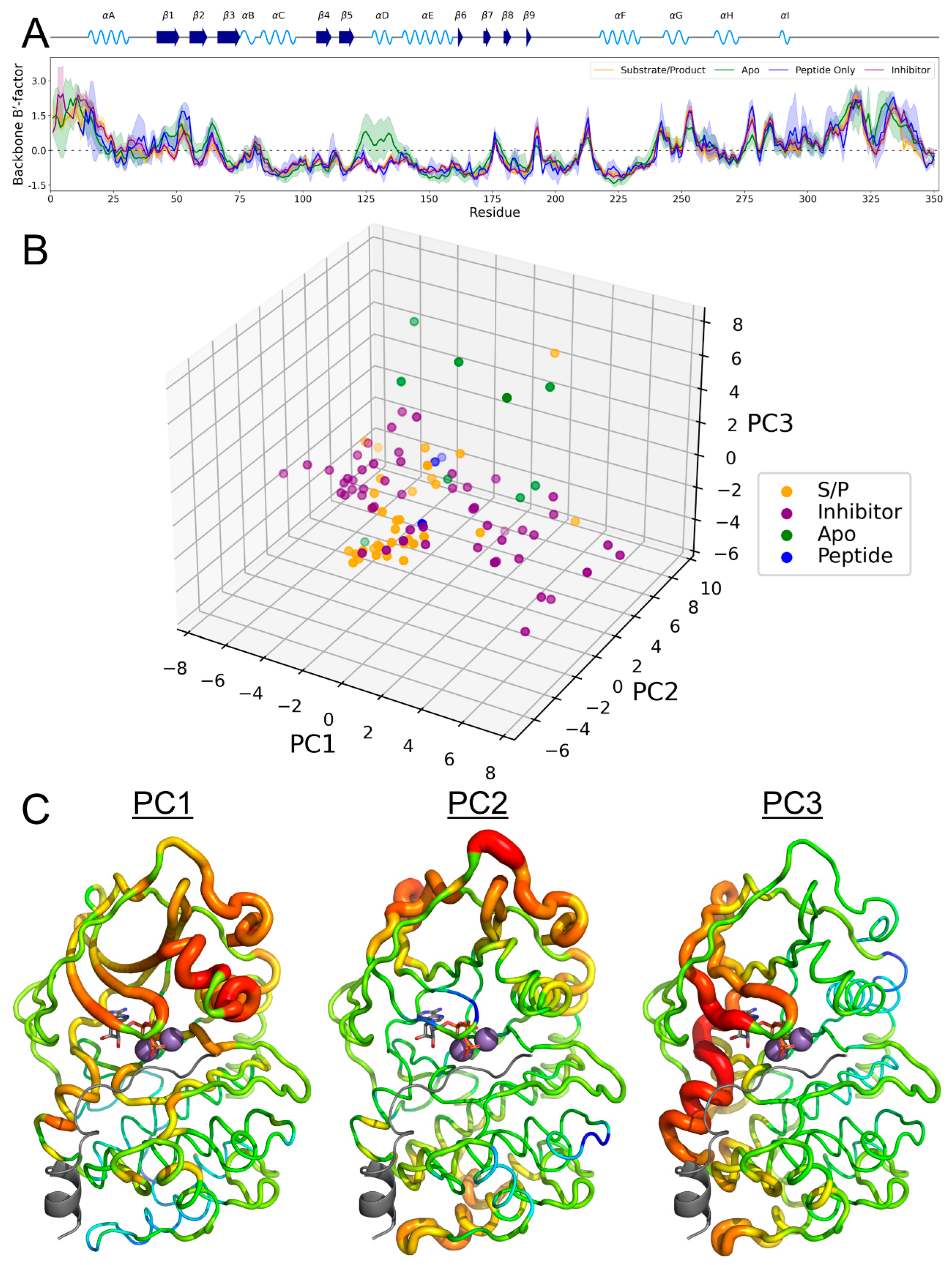 Biology 12 01370 g006 Biology 12 01370 g006