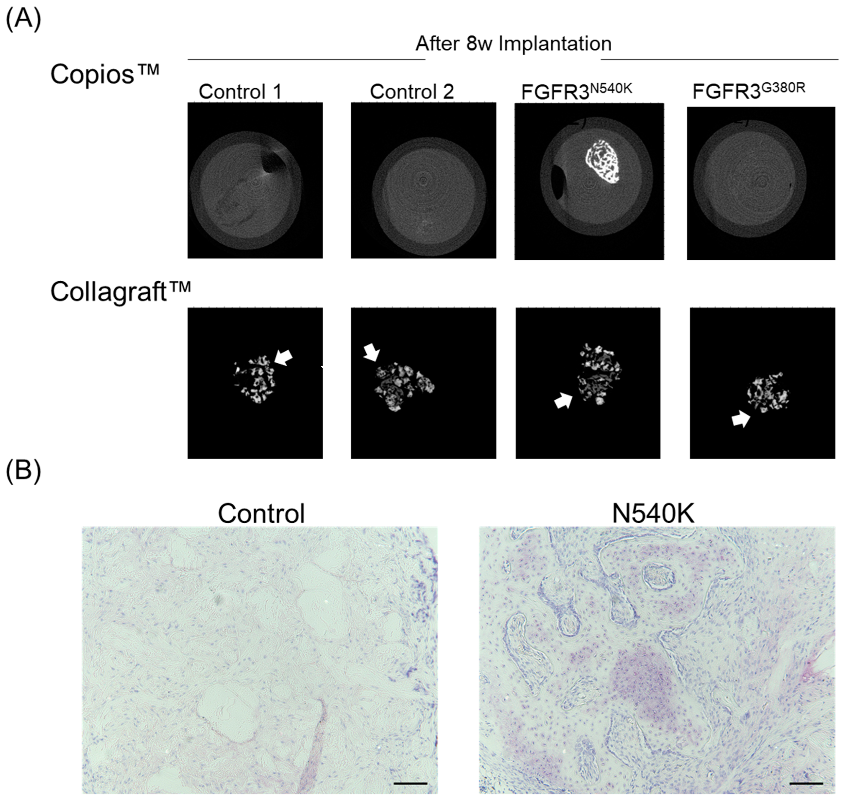 Biology 12 01381 g005