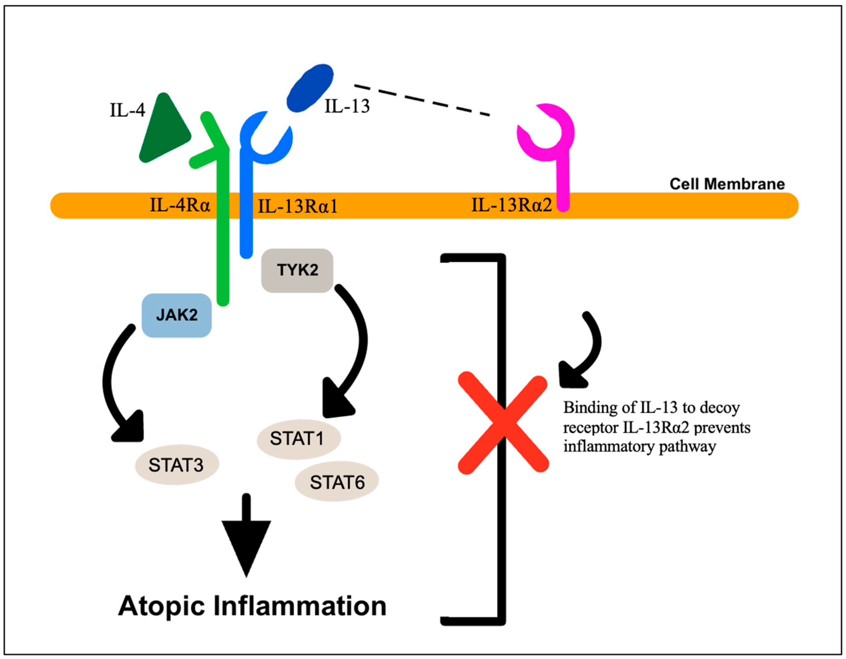 Biology 12 01396 g004 Biology 12 01396 g004