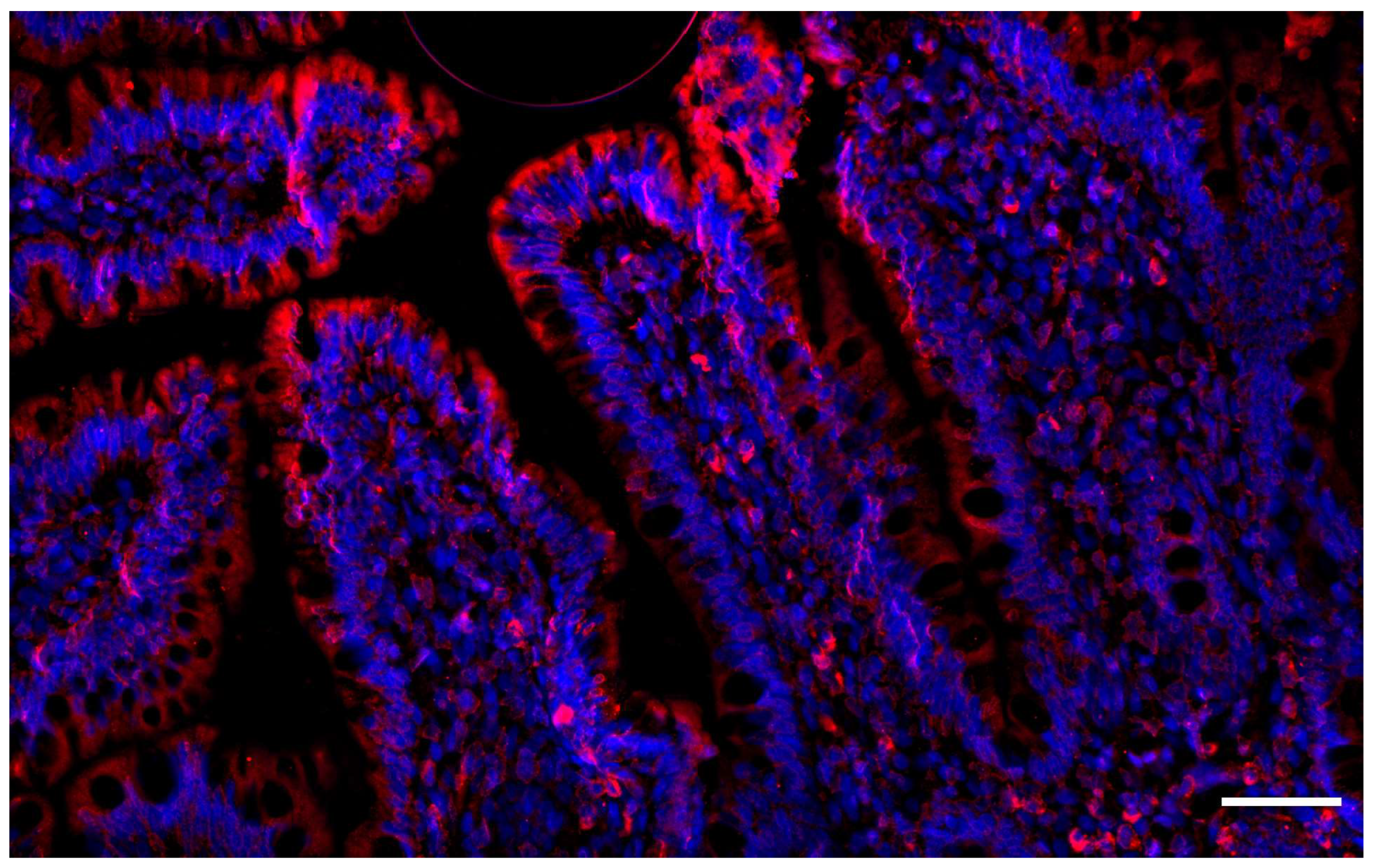 Biology 12 01402 g002