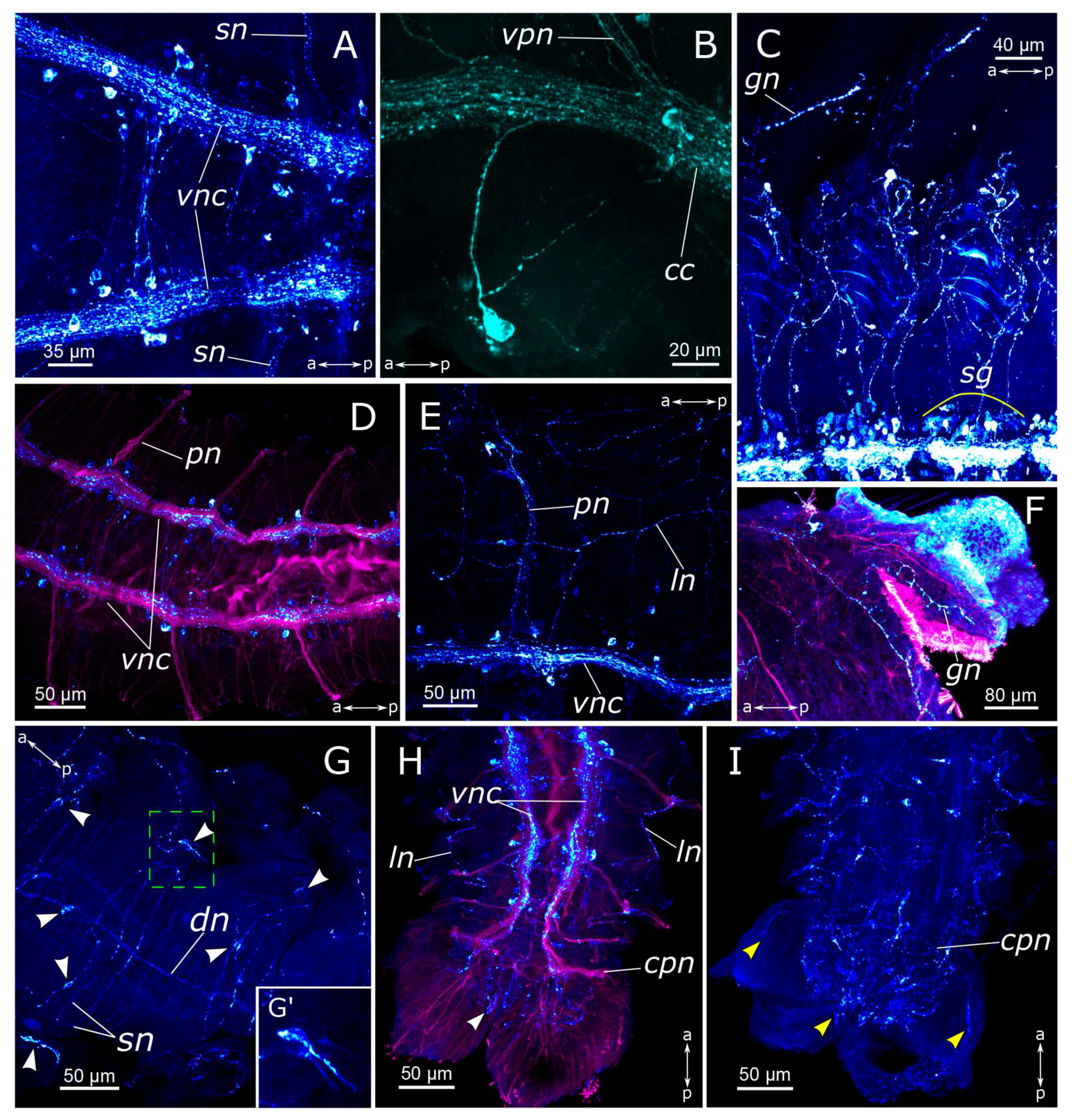 Biology 12 01412 g008