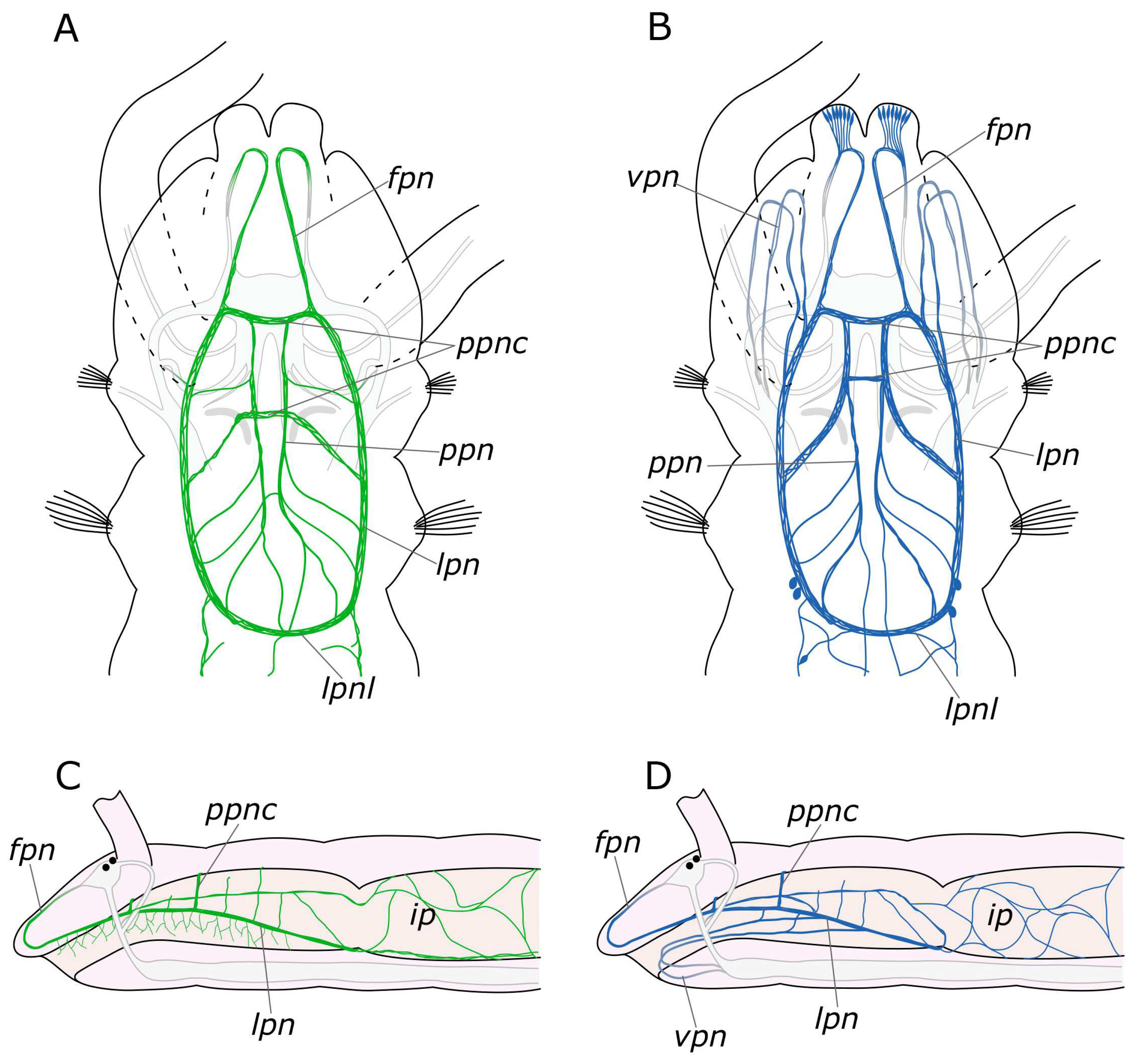 Biology 12 01412 g016