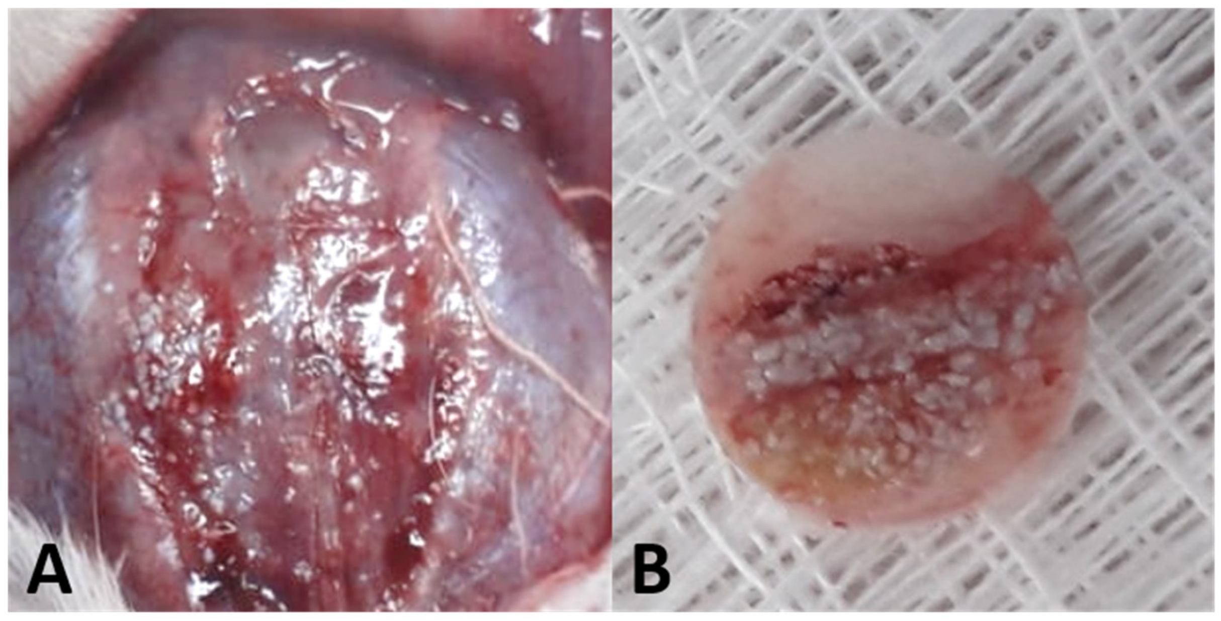Biology 12 01417 g002 Biology 12 01417 g002