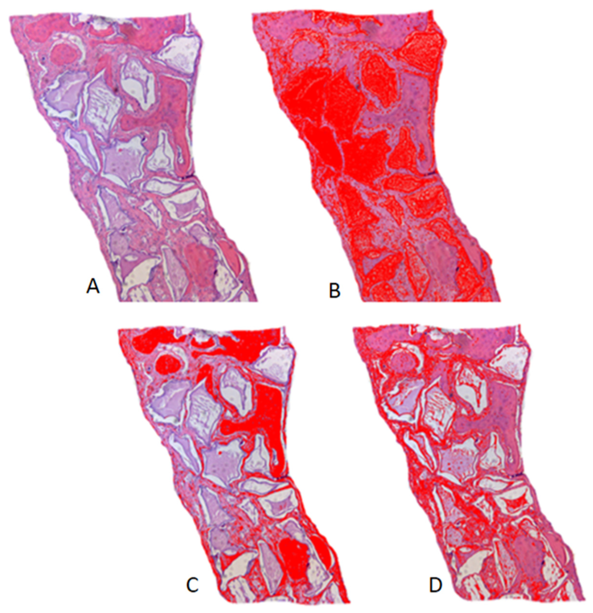 Biology 12 01417 g004 Biology 12 01417 g004