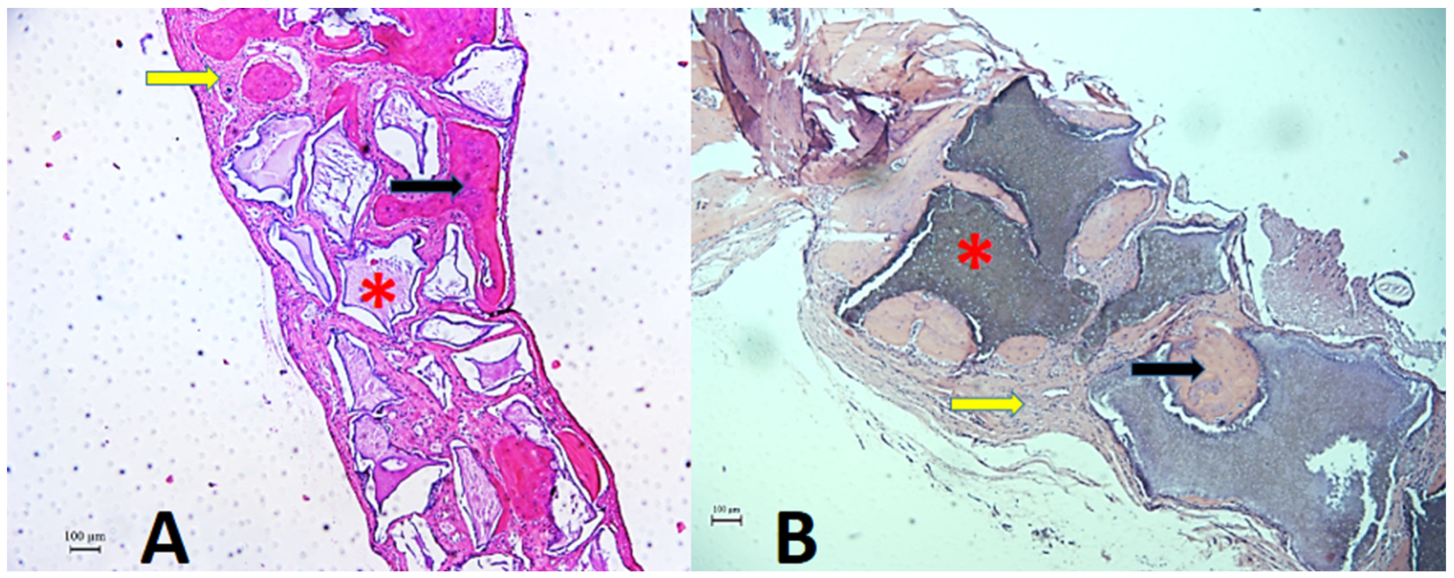 Biology 12 01417 g006 Biology 12 01417 g006