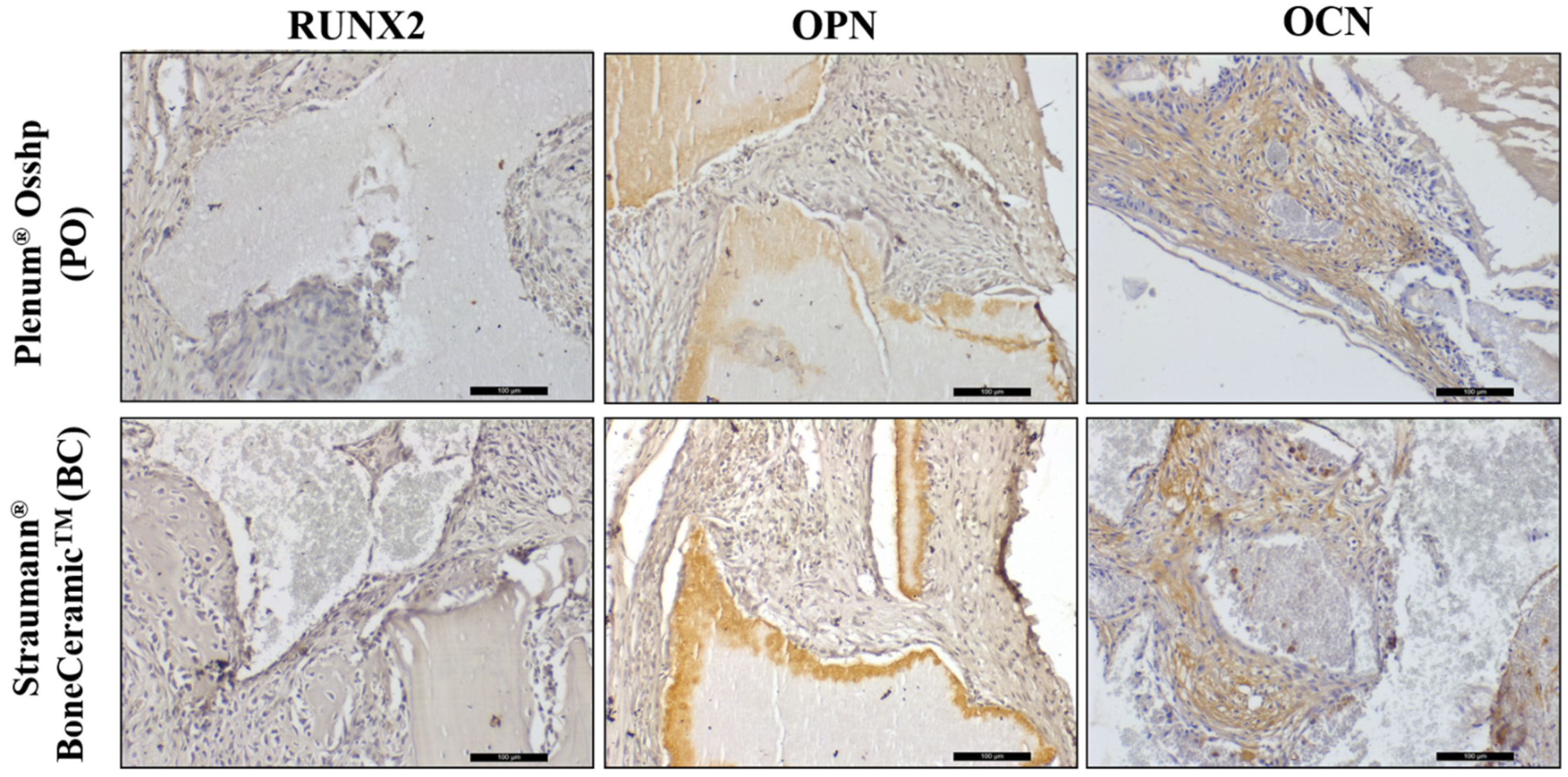 Biology 12 01417 g007 Biology 12 01417 g007