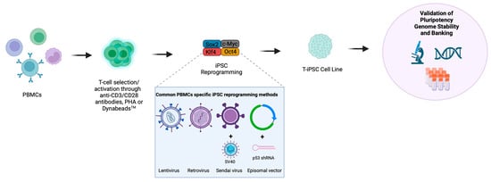 Biology | Free Full-Text | The Emerging Role of Induced Pluripotent ...