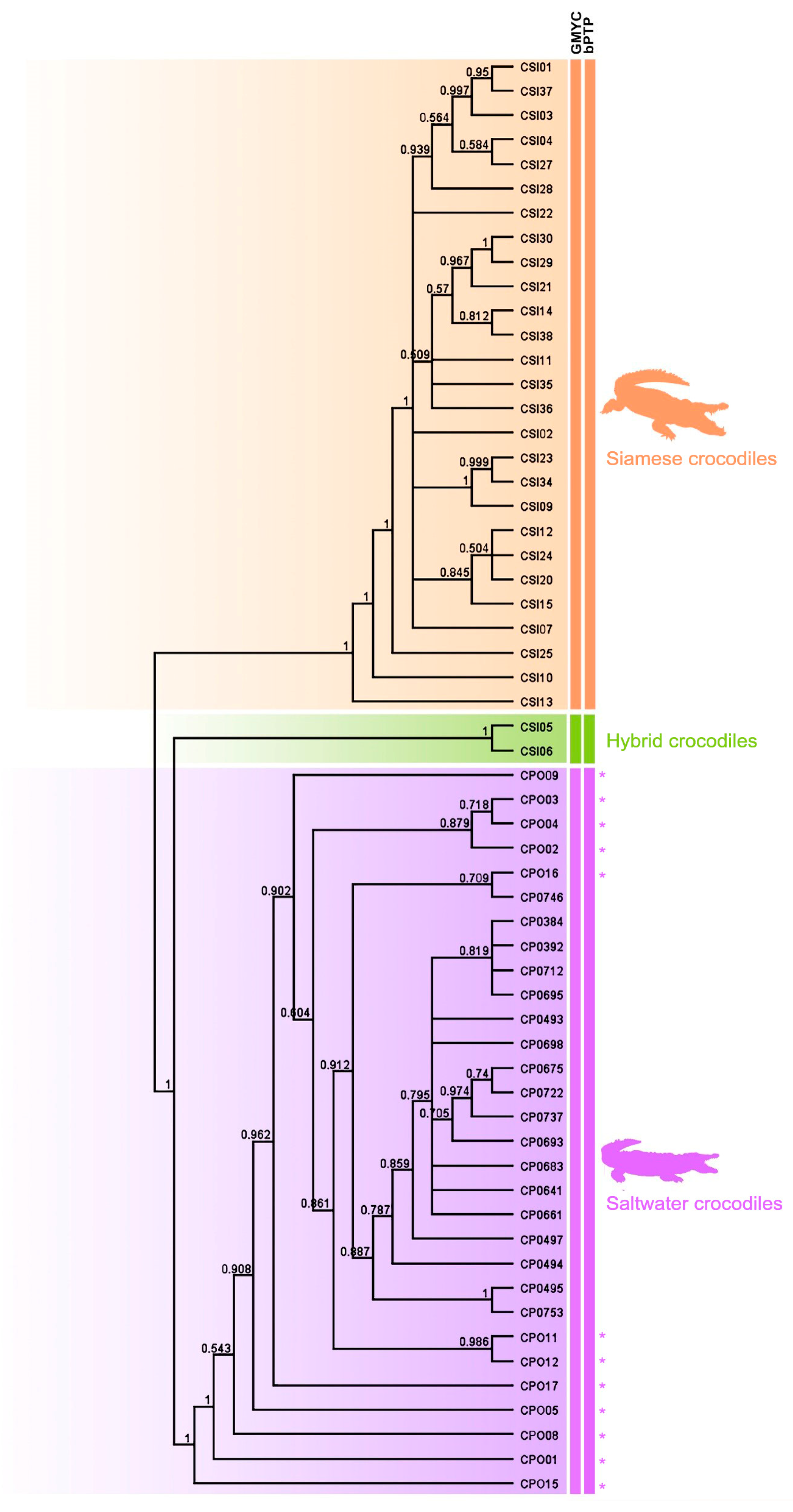 Biology 12 01428 g003