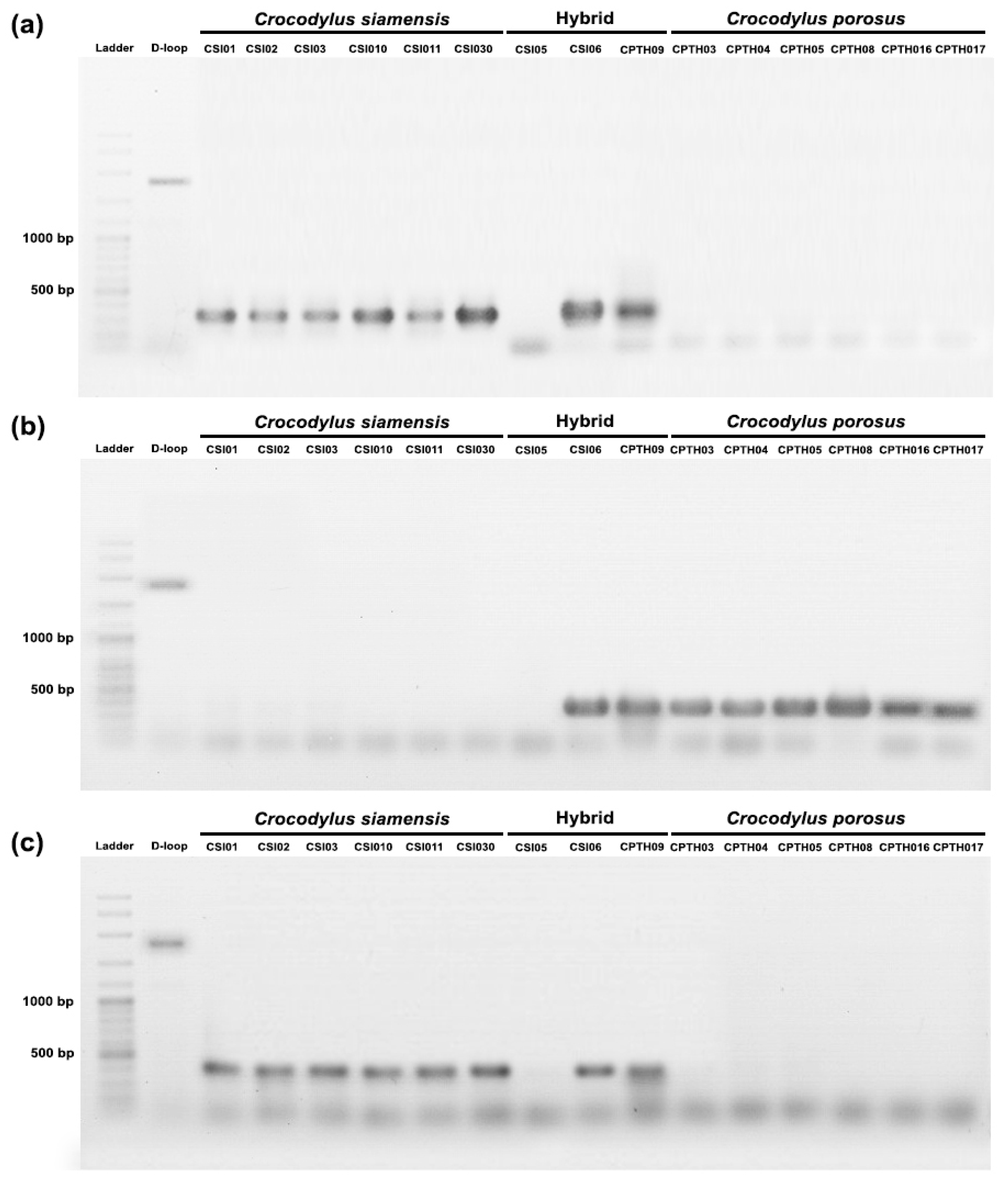 Biology 12 01428 g005