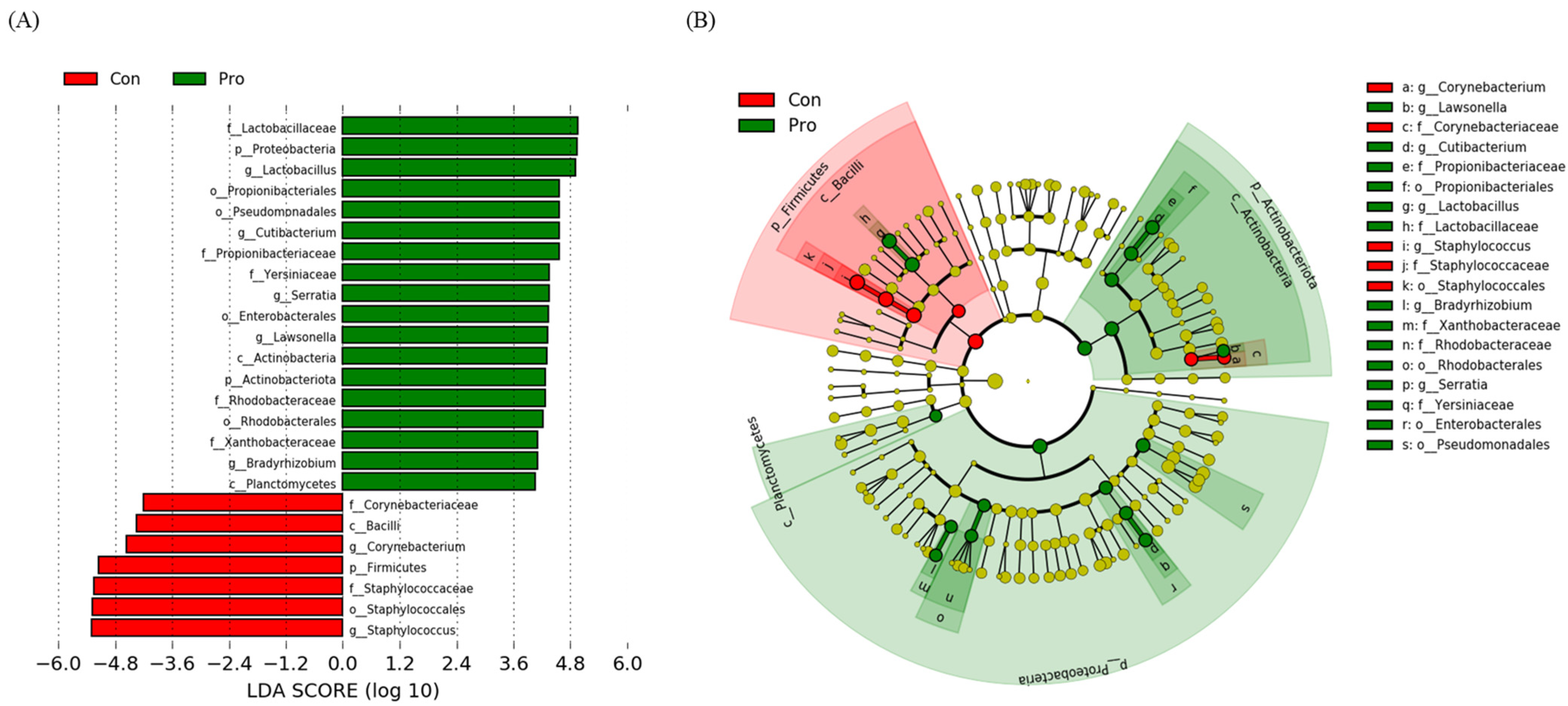 Biology 12 01443 g003