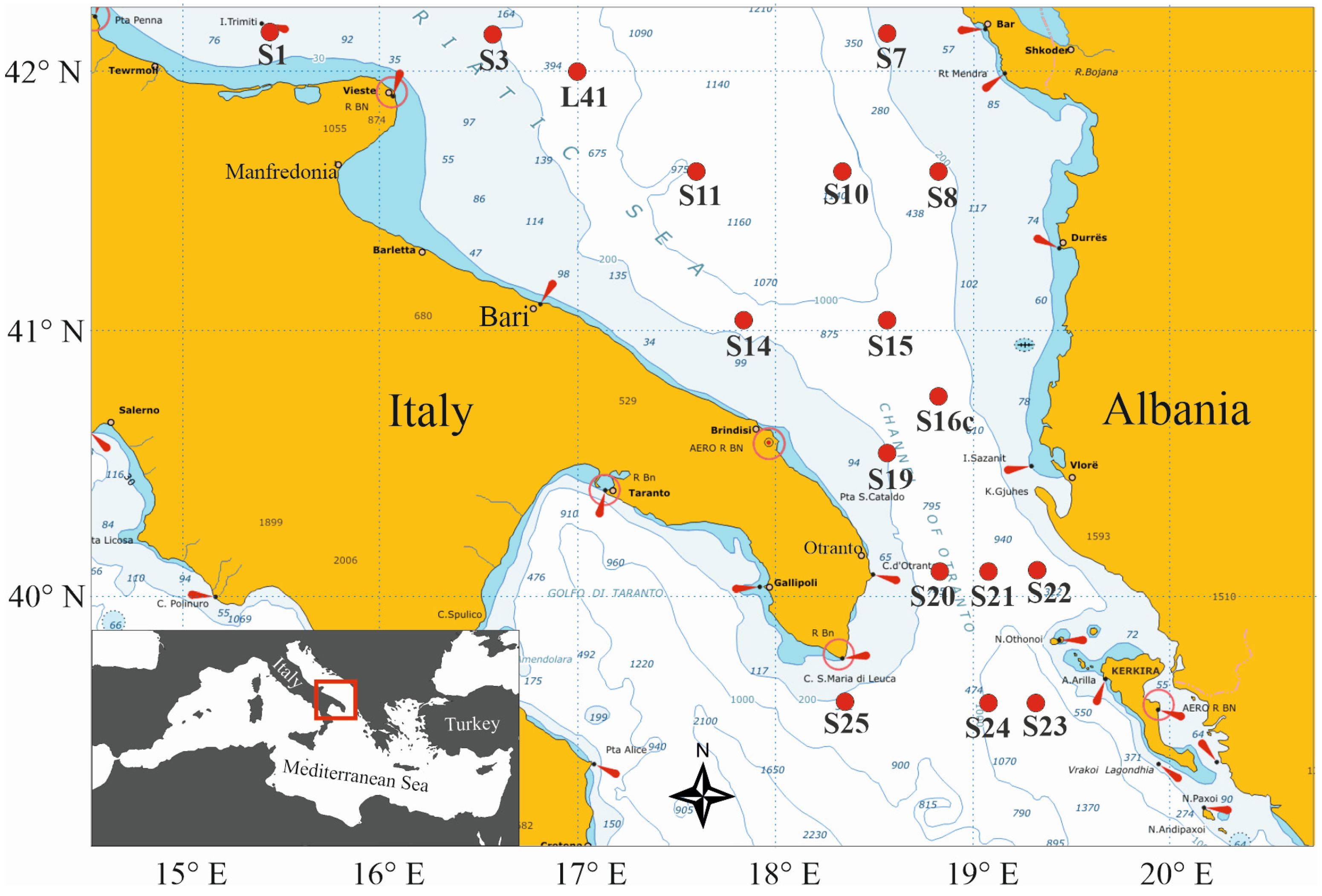 Biology 12 01449 g001