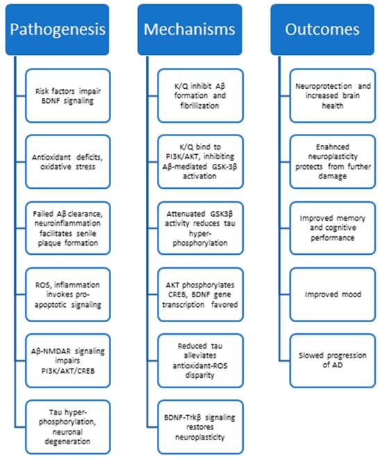 Biology | Free Full-Text | Polyherbal and Multimodal Treatments 