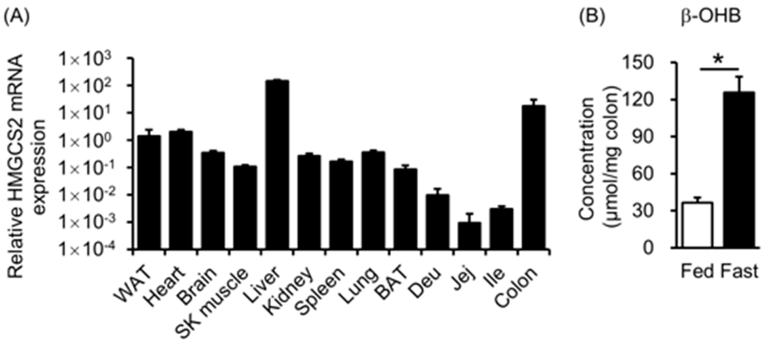 Biology 12 01467 g001