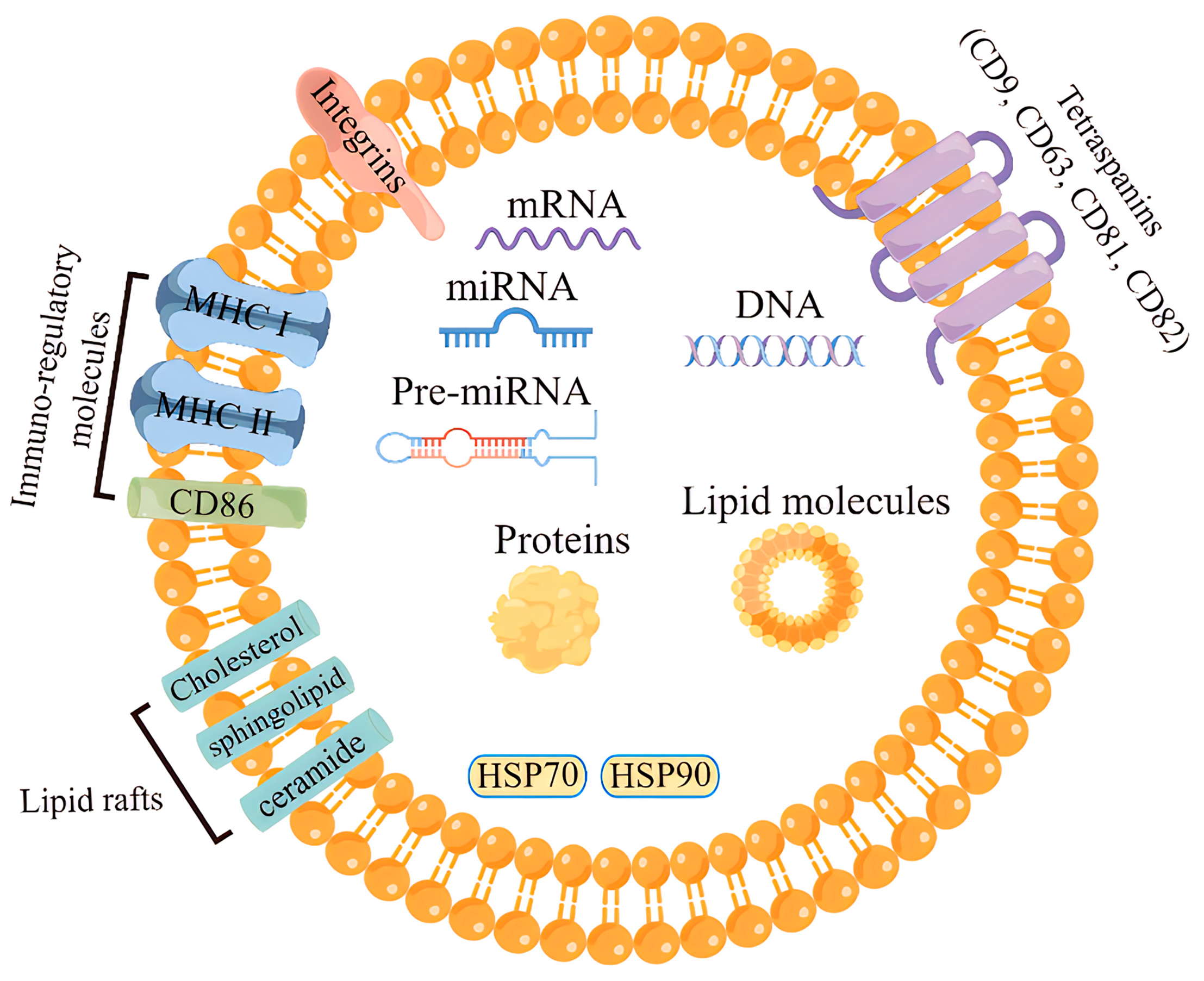 Biology 12 01480 g002