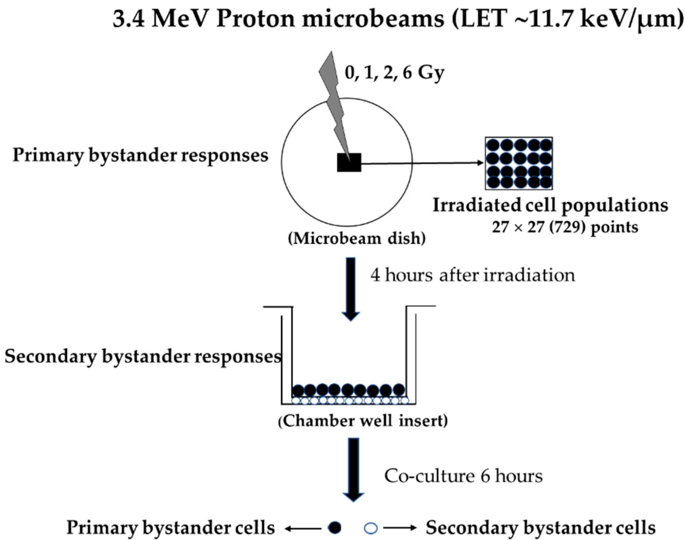 Biology 12 01485 g001