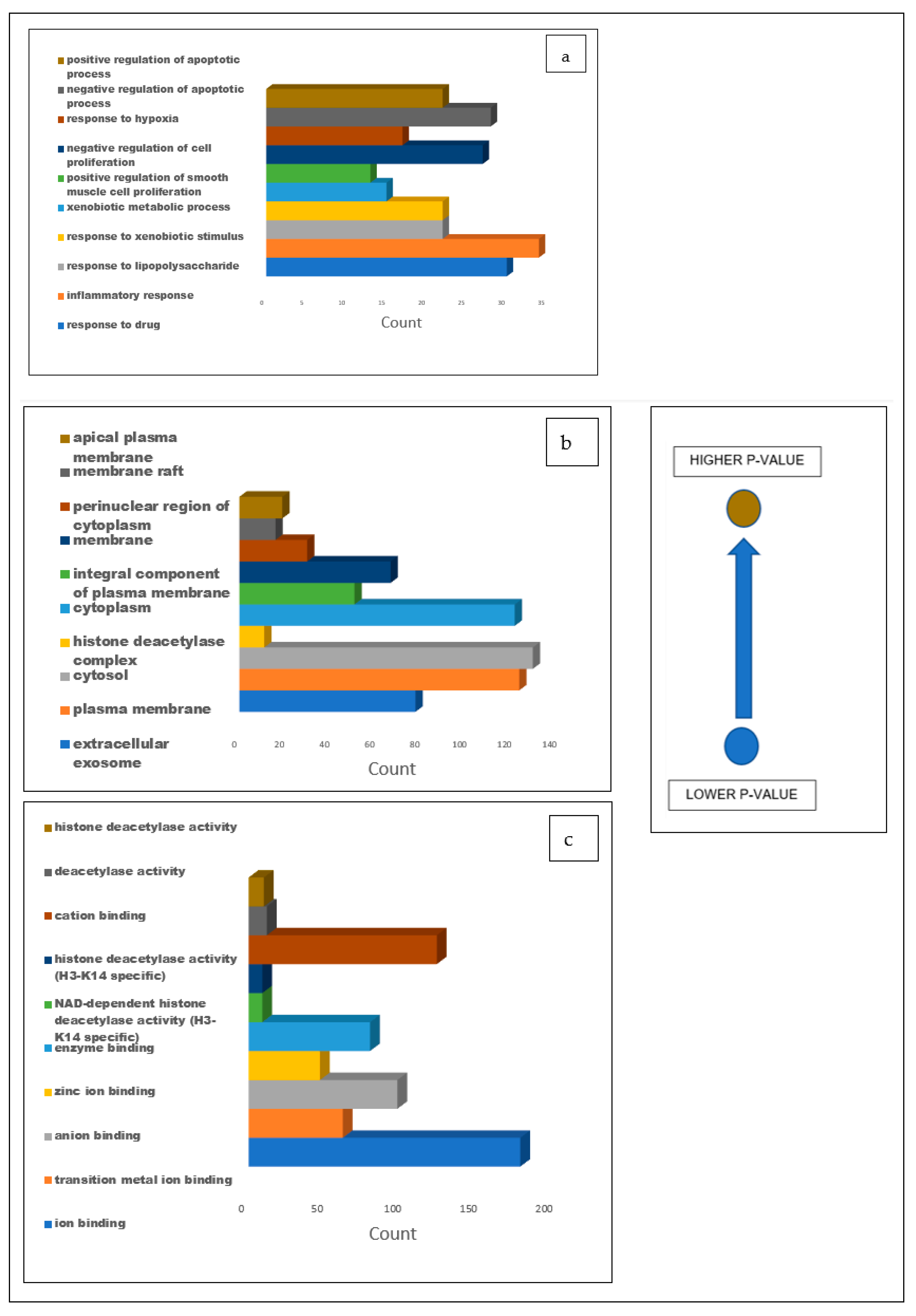 Biology 12 01509 g007