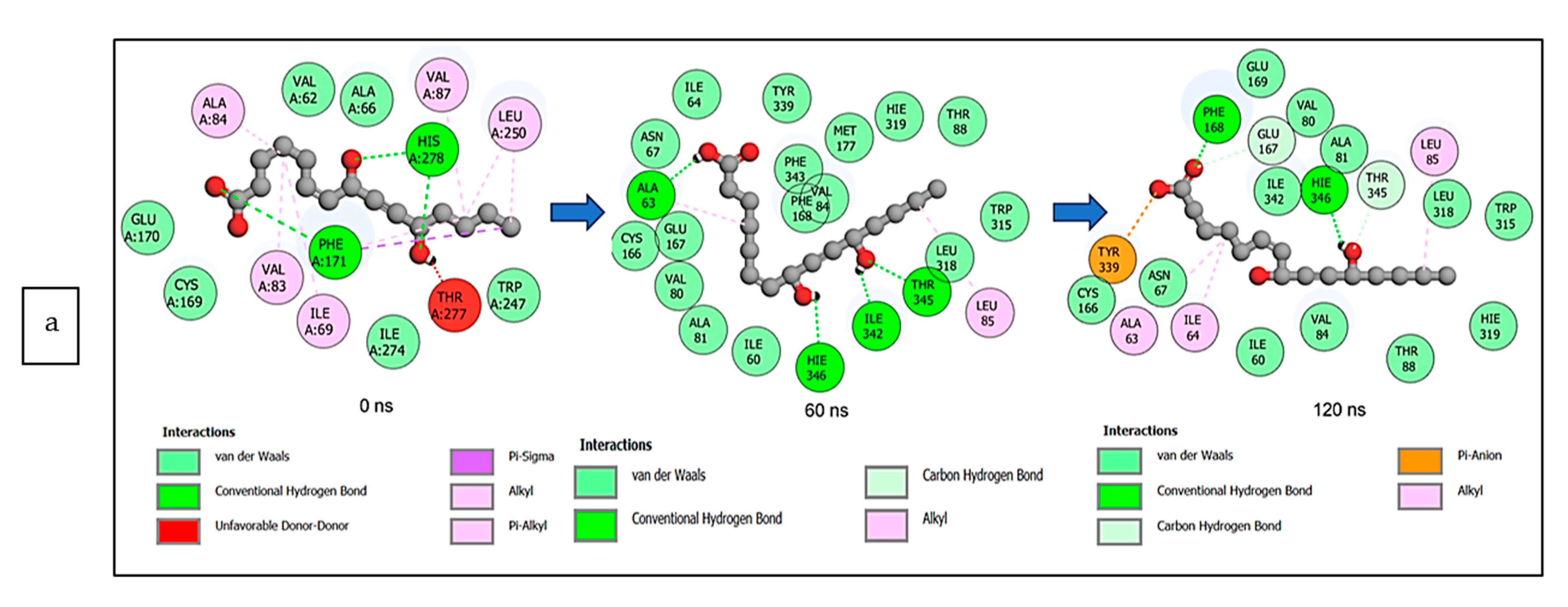 Biology 12 01509 g014a