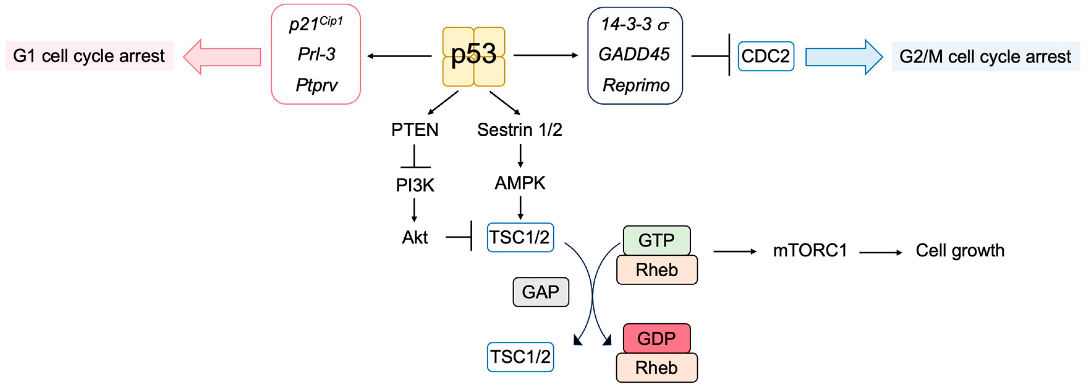 Biology 12 01511 g008 Biology 12 01511 g008
