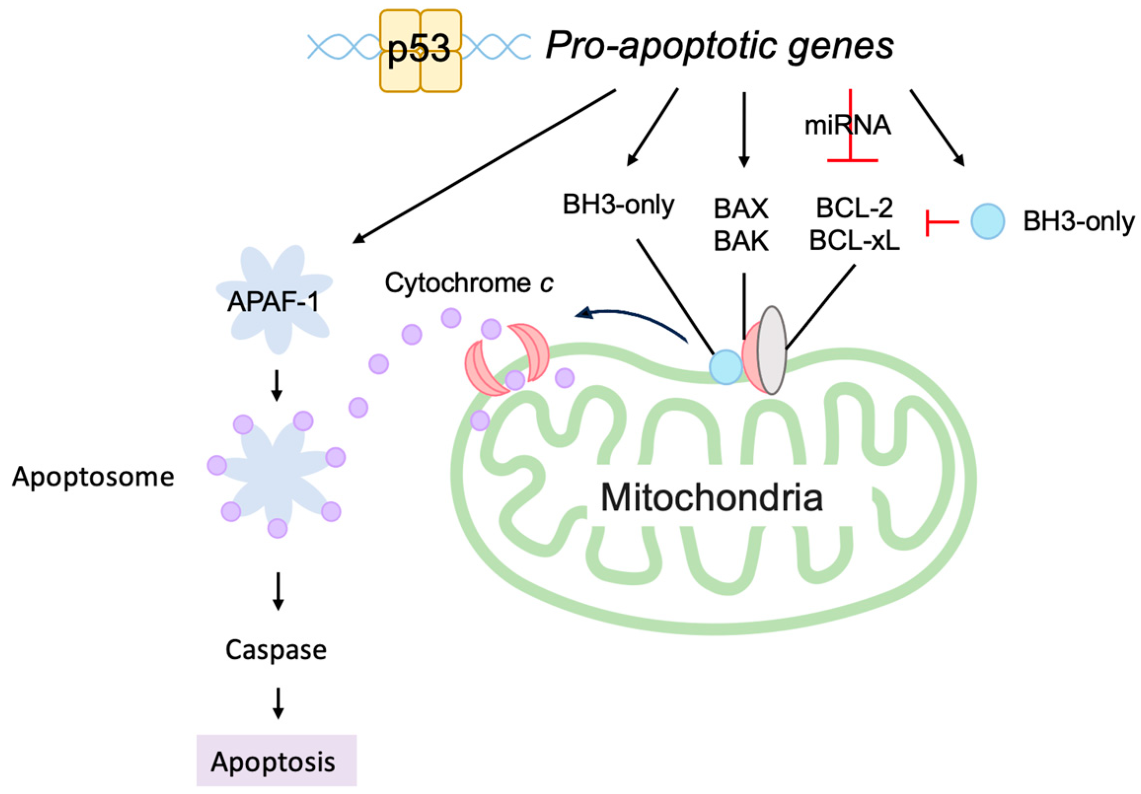 Biology 12 01511 g009 Biology 12 01511 g009