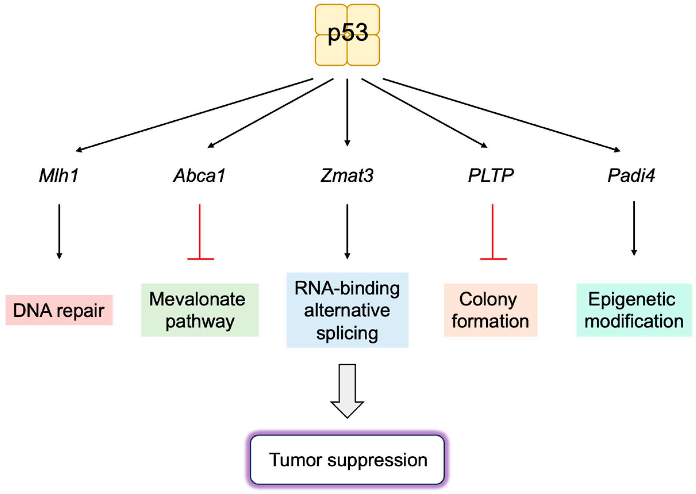 Biology 12 01511 g019 Biology 12 01511 g019
